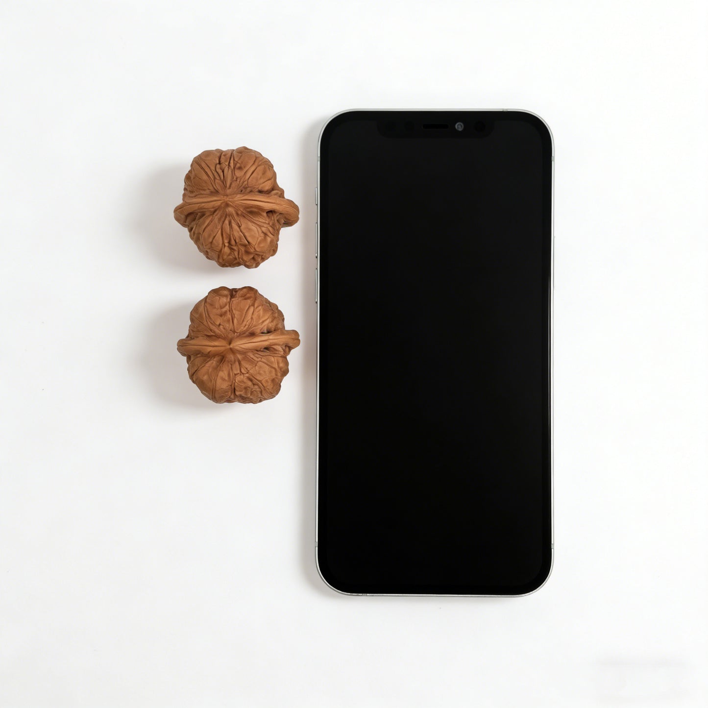 The "Dharma" (Damo) Pair | 35.0mm x 34.0mm | DM-01