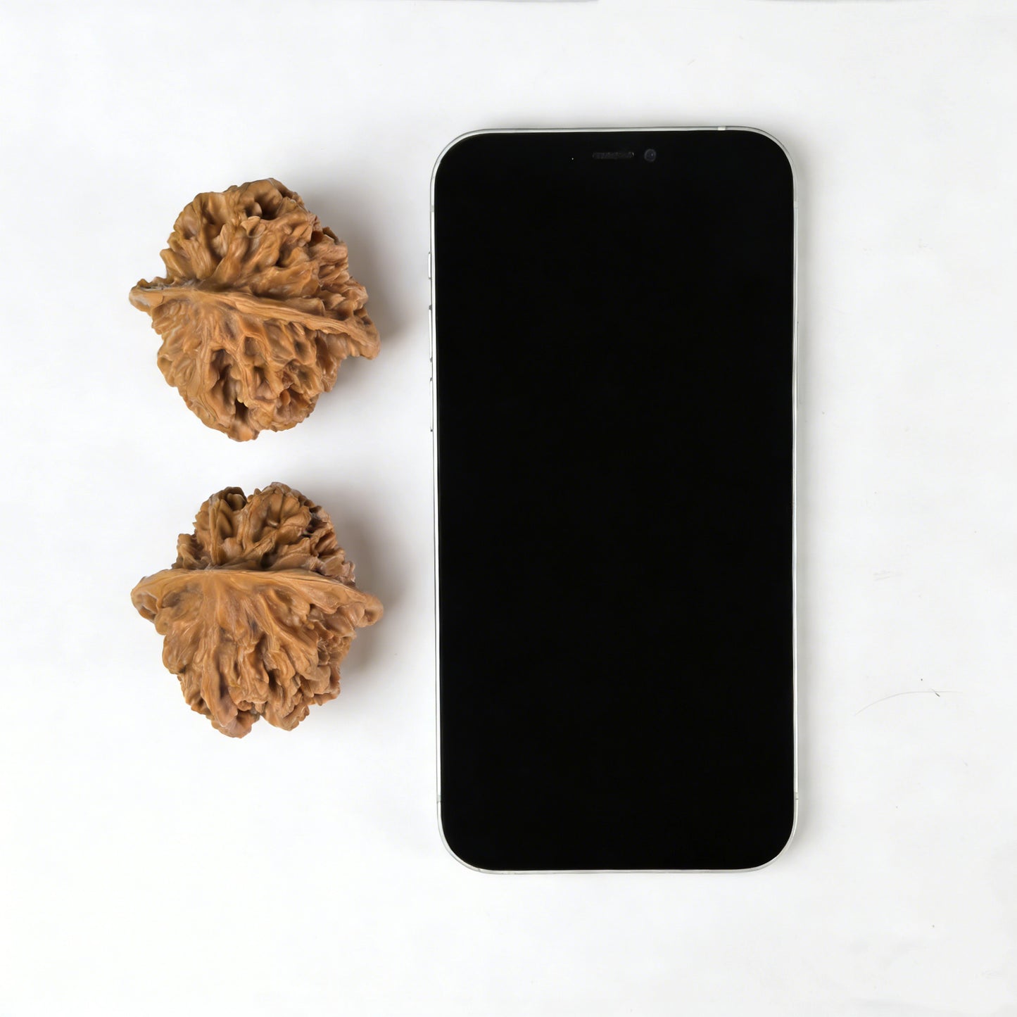 The "Emperor" (Di Wang) Pair | 46.0mm x 49.0mm | DW-302