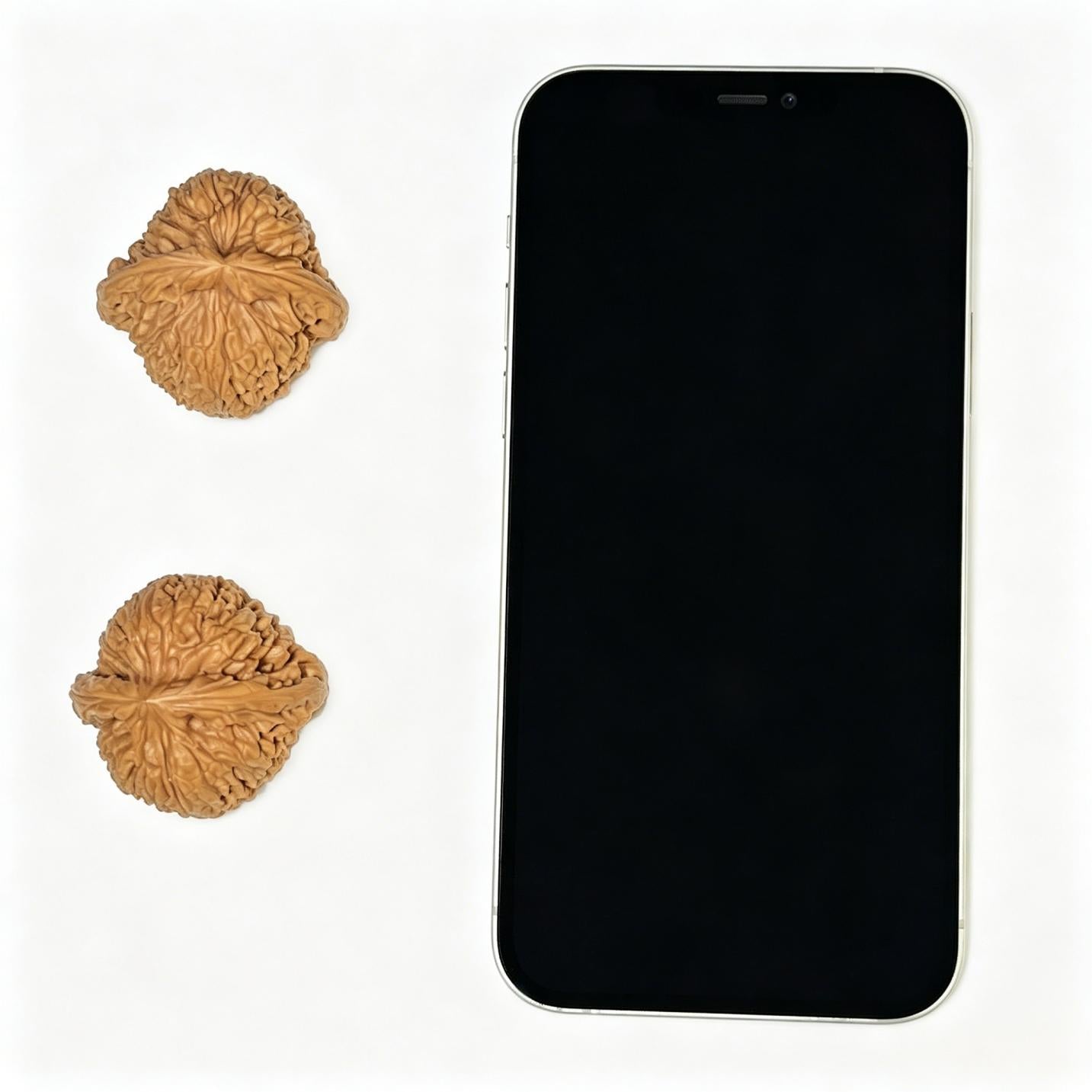 "Nanjiangshi" Nanjiangshi Wenwan Walnuts (Pair) | 38.0mm x 37.0mm | Stock ID: NJS-1106