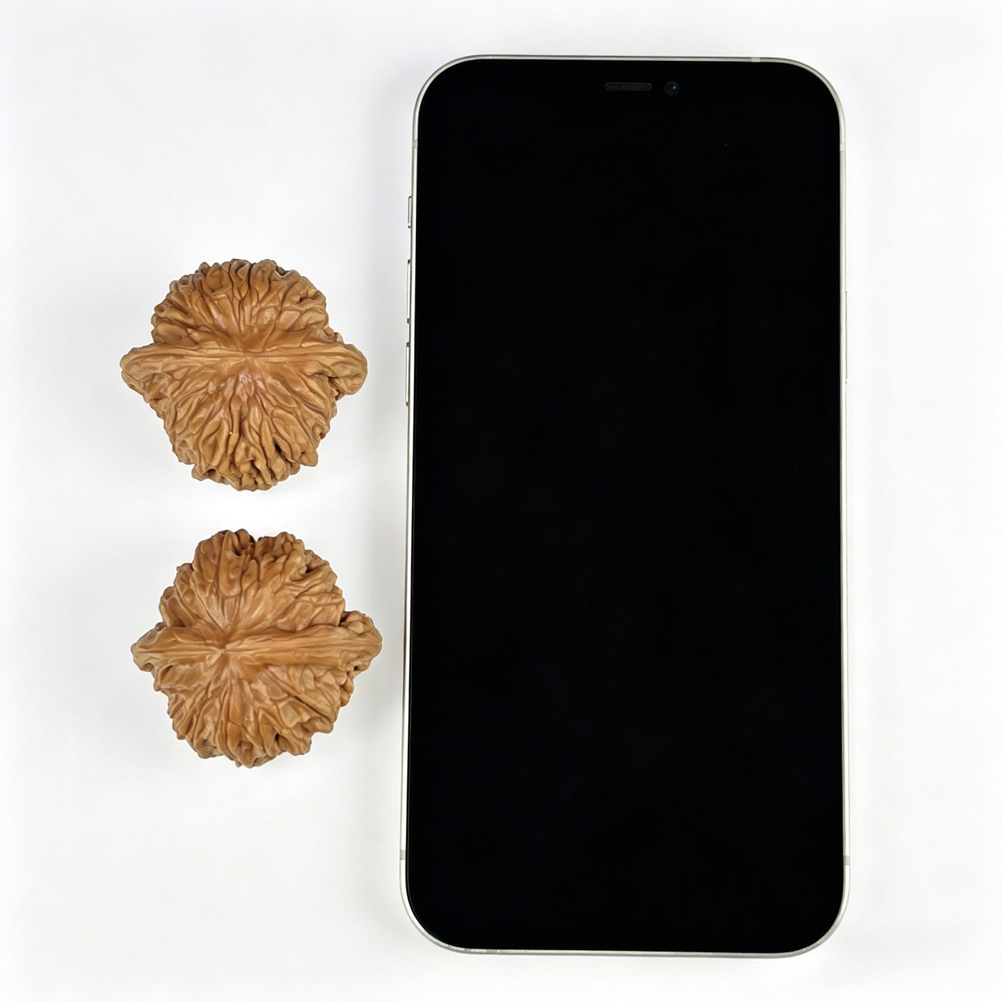 The "Millstone" (Mo Pan) Ergonomic Robust Pair | 39.0mm x 37.0mm | MP-801
