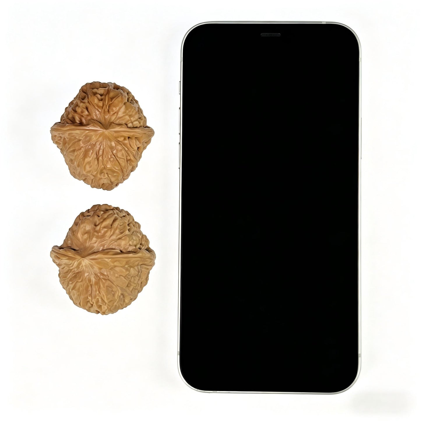The "Squat Pumpkin" (Nan Gua Dun) Colossal Deep-Bellied Giant Pair | 45.0mm x 46.0mm | NGD-903