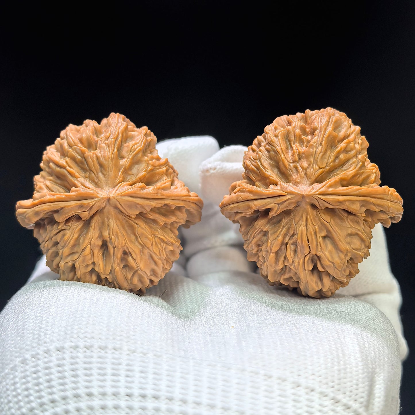 "White Lionhead" Baishizi BSZ-1601 Low-Profile Wenwan Walnuts Pair | 40.0mm x 41.0mm | BSZ-1601
