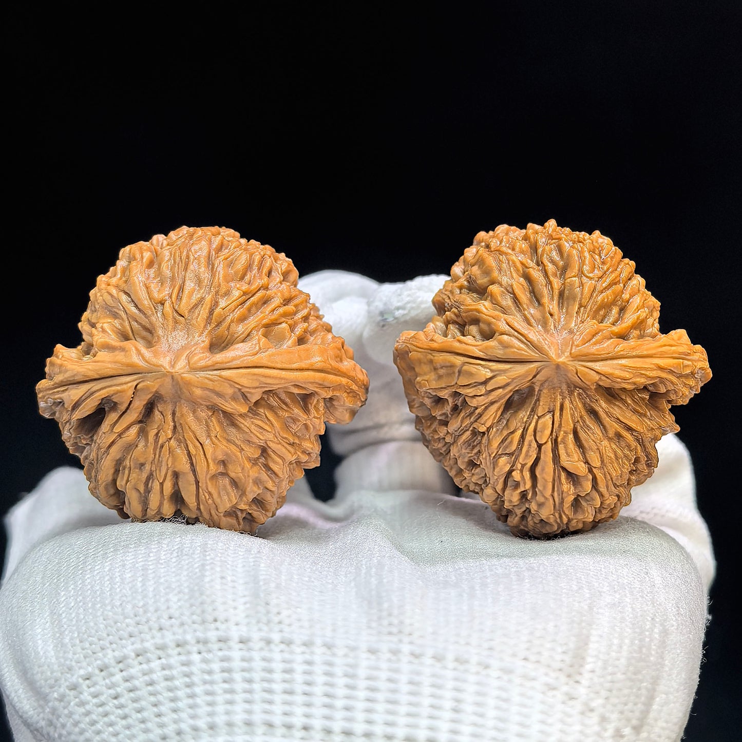 "Triangular Concave Base Nanjiang Stone" Aodi NJS-1507C Low-Profile Wenwan Walnuts Pair | 41.0mm x 41.0mm | NJS-1507C