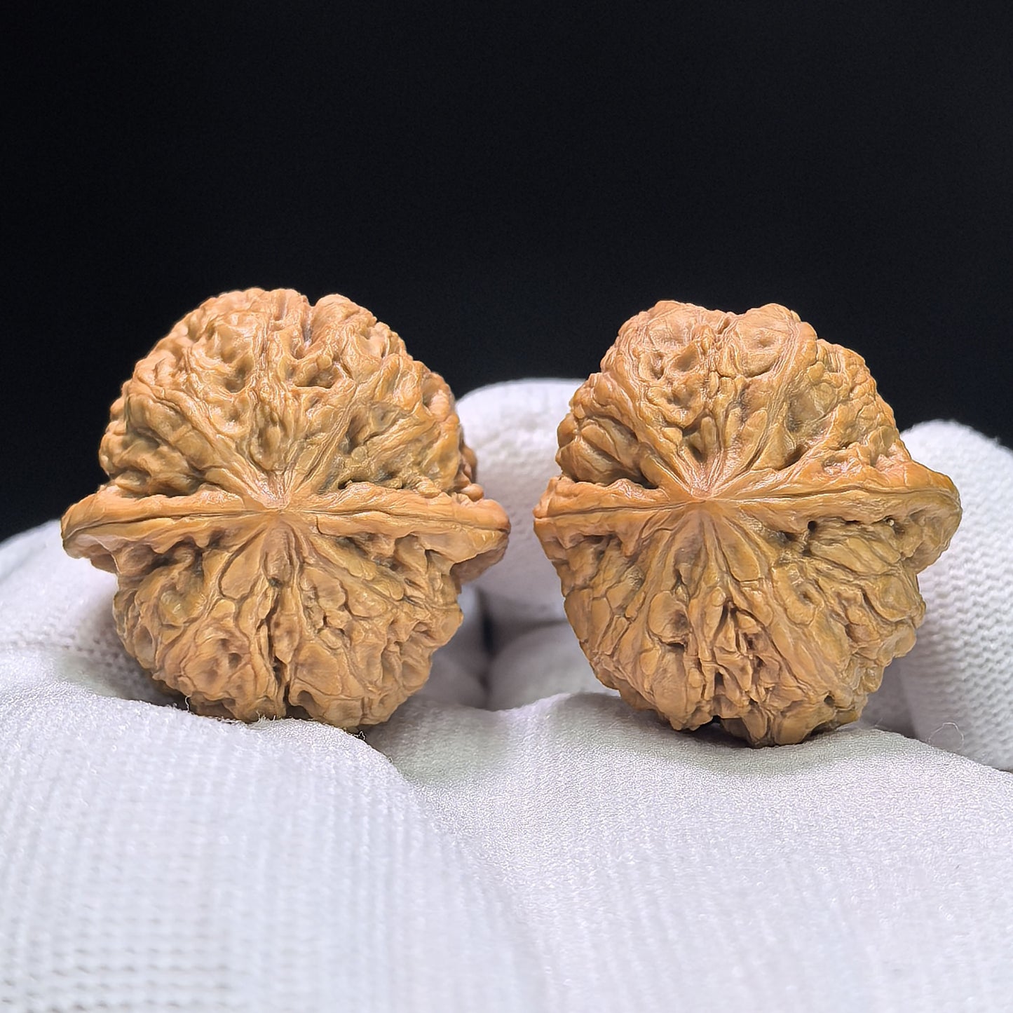 "Rain Flower Stone" Yuhuashi Hand-Twist Shou Nian Wenwan Walnuts (Pair) | 32.0mm x 33.0mm | Stock ID: YHS-1102
