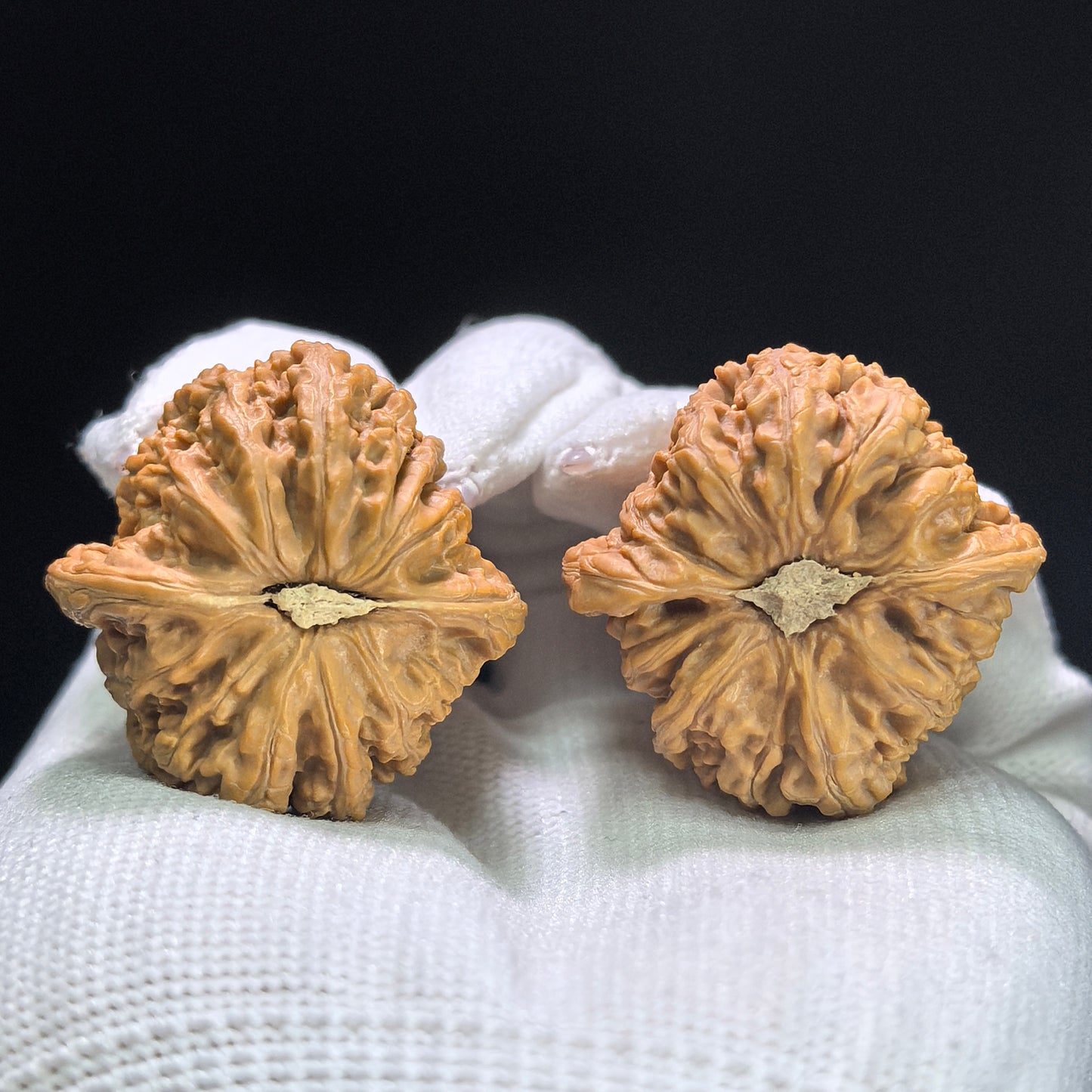 "Peach Heart Ruby" Taoxin Hongbaoshi Wenwan Walnuts Pair | 34.0mm x 35.0mm | HBS-1403