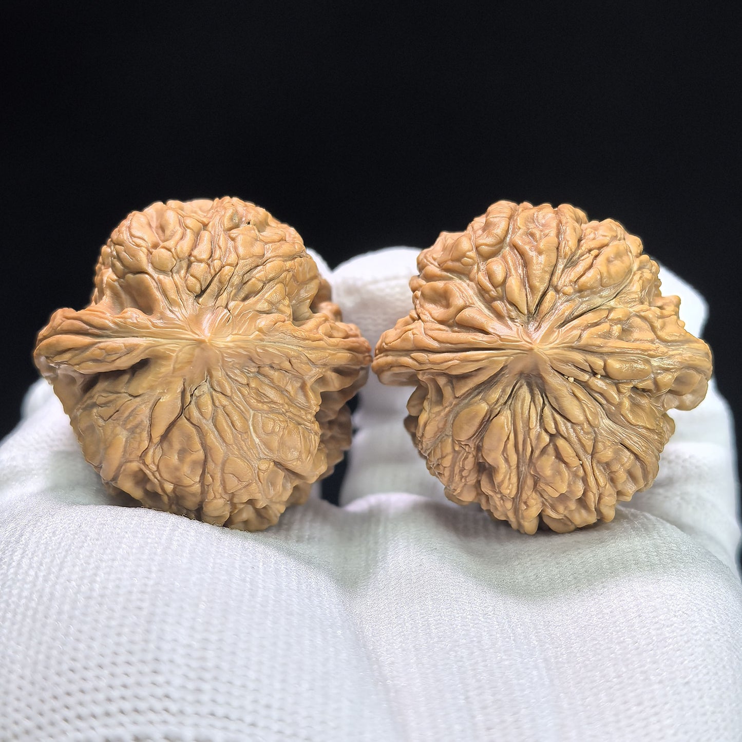 "Stone Doorpost Raw Timber" Mendun Baicha Wenwan Walnuts Pair | 39.0mm x 40.0mm | MD-1402