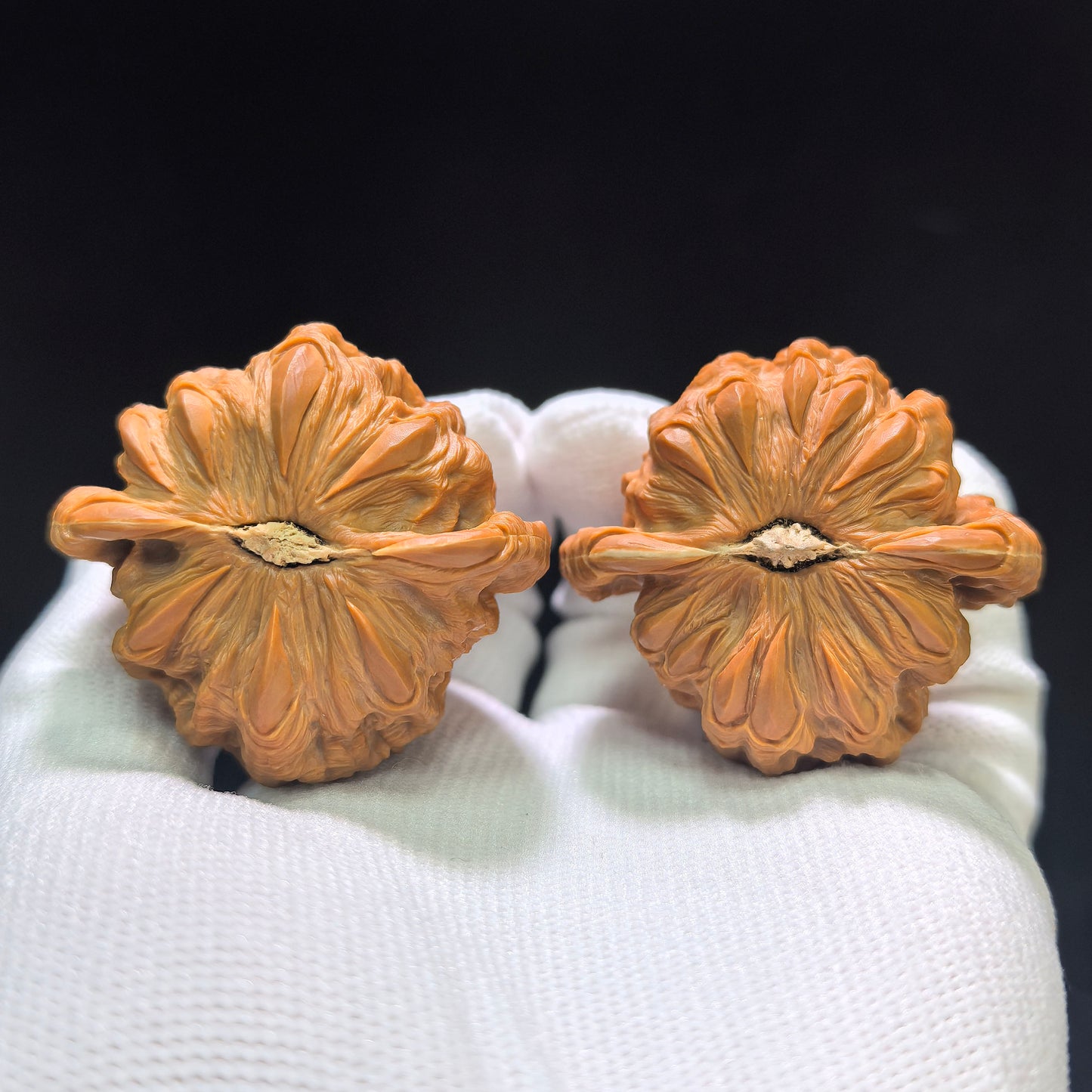 Master Li Fengguang Hand-Carved "Devouring Lion" White Lion Head (Bai Shi Zi) Scholar Walnuts Pair | Grand 44.0mm x 41.0mm | Ultimate Collector Grade Masterpiece | Stock ID: BSZTSDK-CG213E