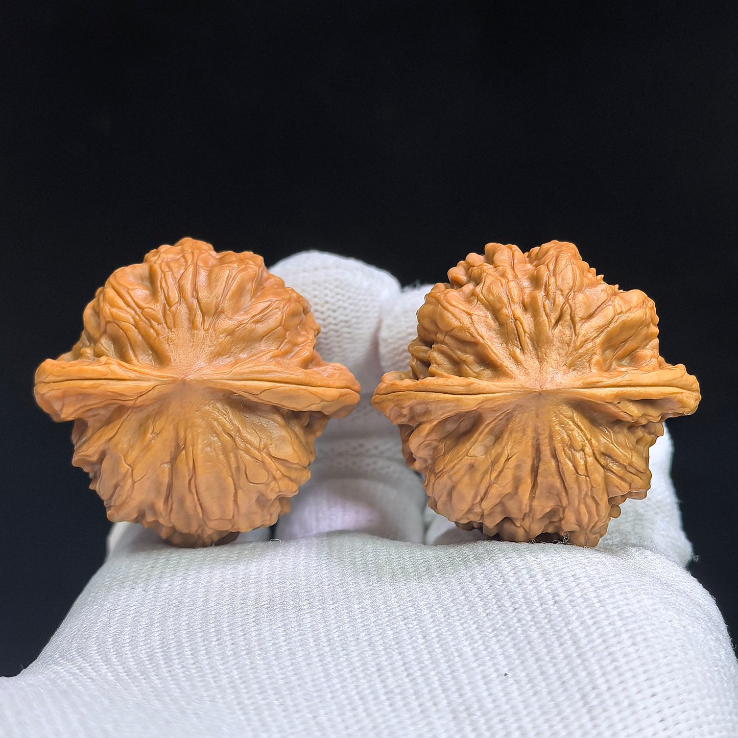 "Porcelain Doll" Ciwawa CWW-17B4C Low-Profile Wenwan Walnuts Pair | 38.0mm x 37.0mm | CWW-17B4C