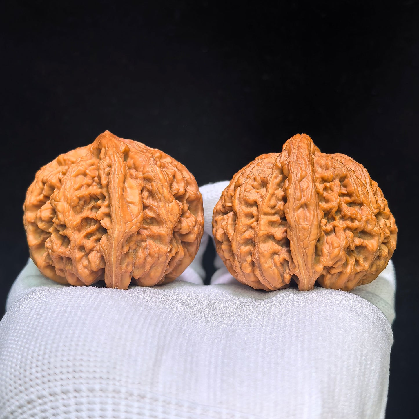"Large Thick Rib" Dacujin Wenwan Walnuts Pair | 48.0mm x 47.0mm | DCJ-1551C