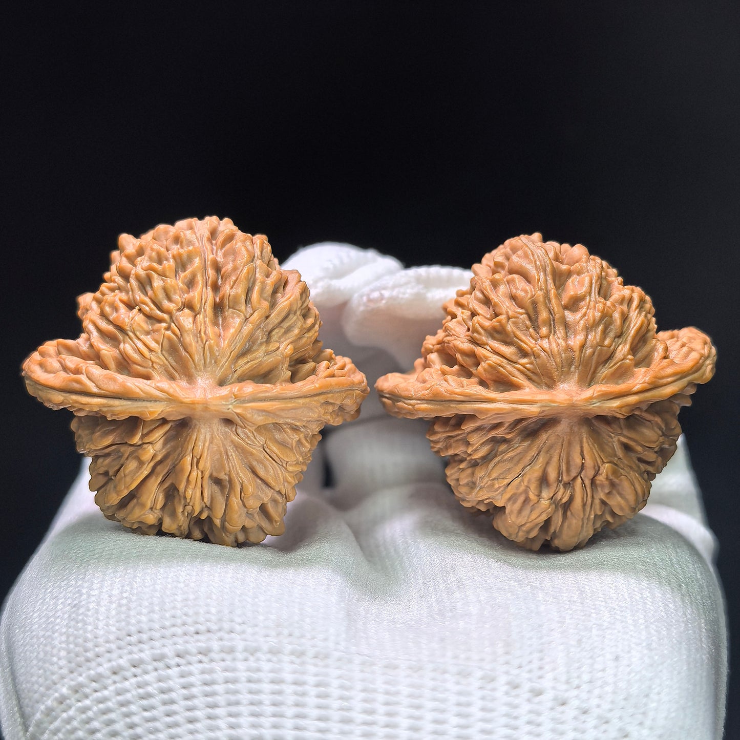 "Four-Seat Tower" Sizhoulou SZL-1406 Low-Profile Wenwan Walnuts Pair | 41.0mm x 40.0mm | SZL-1406