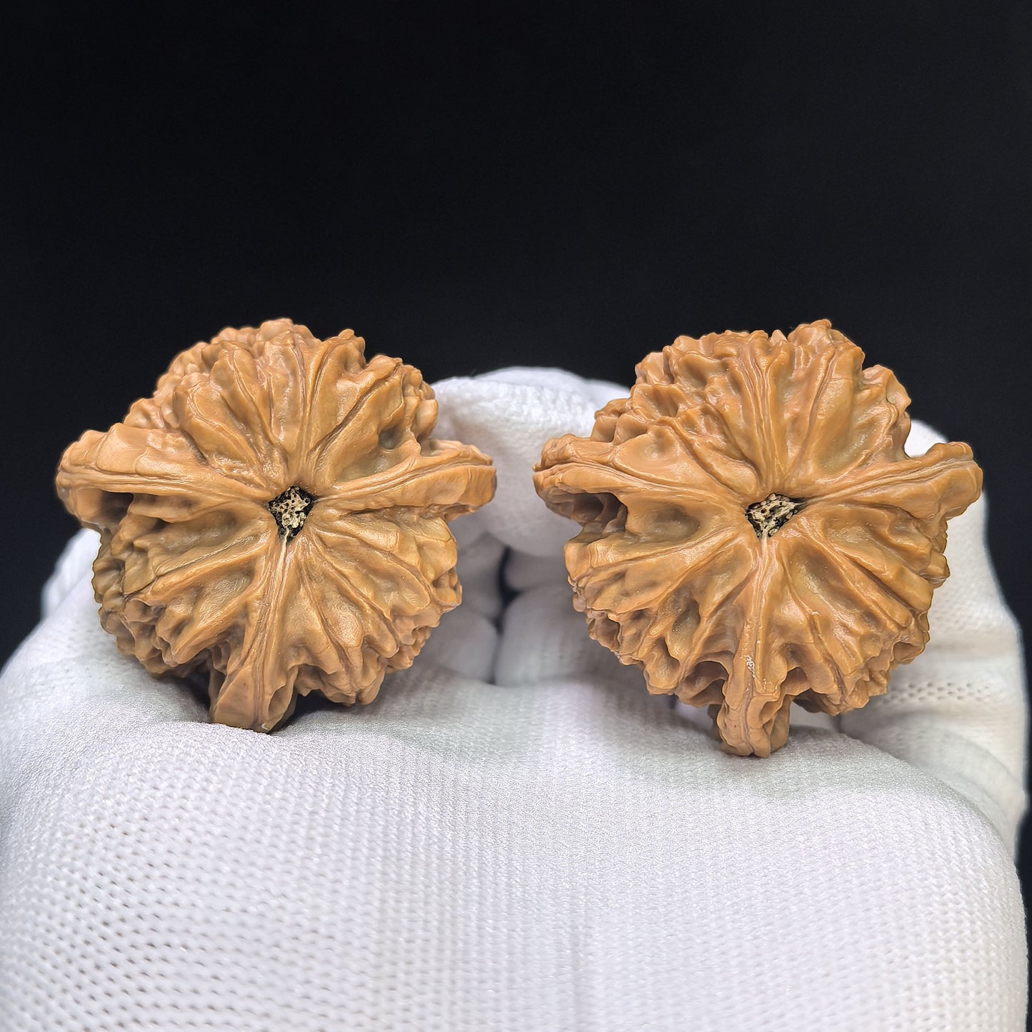 "Imperial Jade Seal Three-Ribbed" Yuxi Sanleng Multi-Ribbed Wenwan Walnuts Pair | 41.0mm x 40.0mm | YSSN-C223E