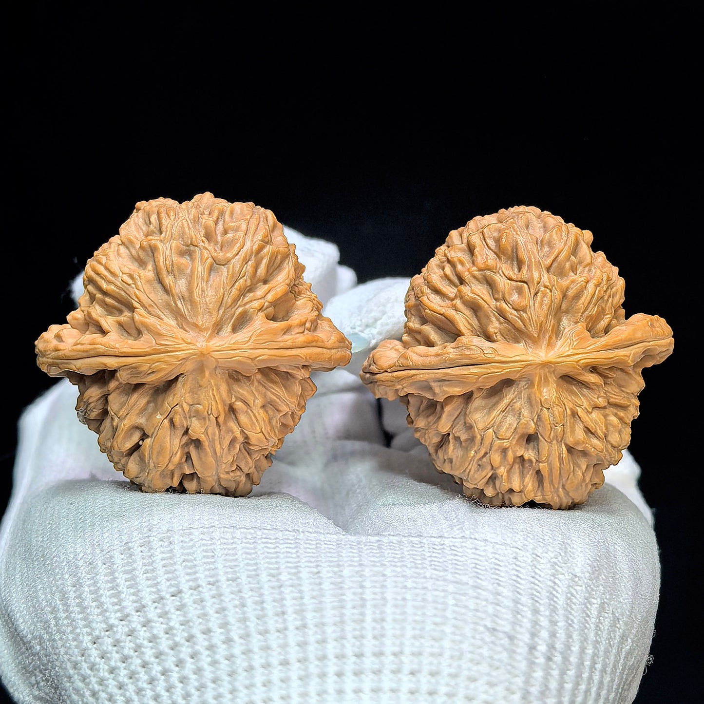 "Spherical White Lionhead" Qiuxing Baishizi QXBSJ-1505C Low-Profile Wenwan Walnuts Pair | 41.0mm x 40.0mm | QXBSJ-1505C