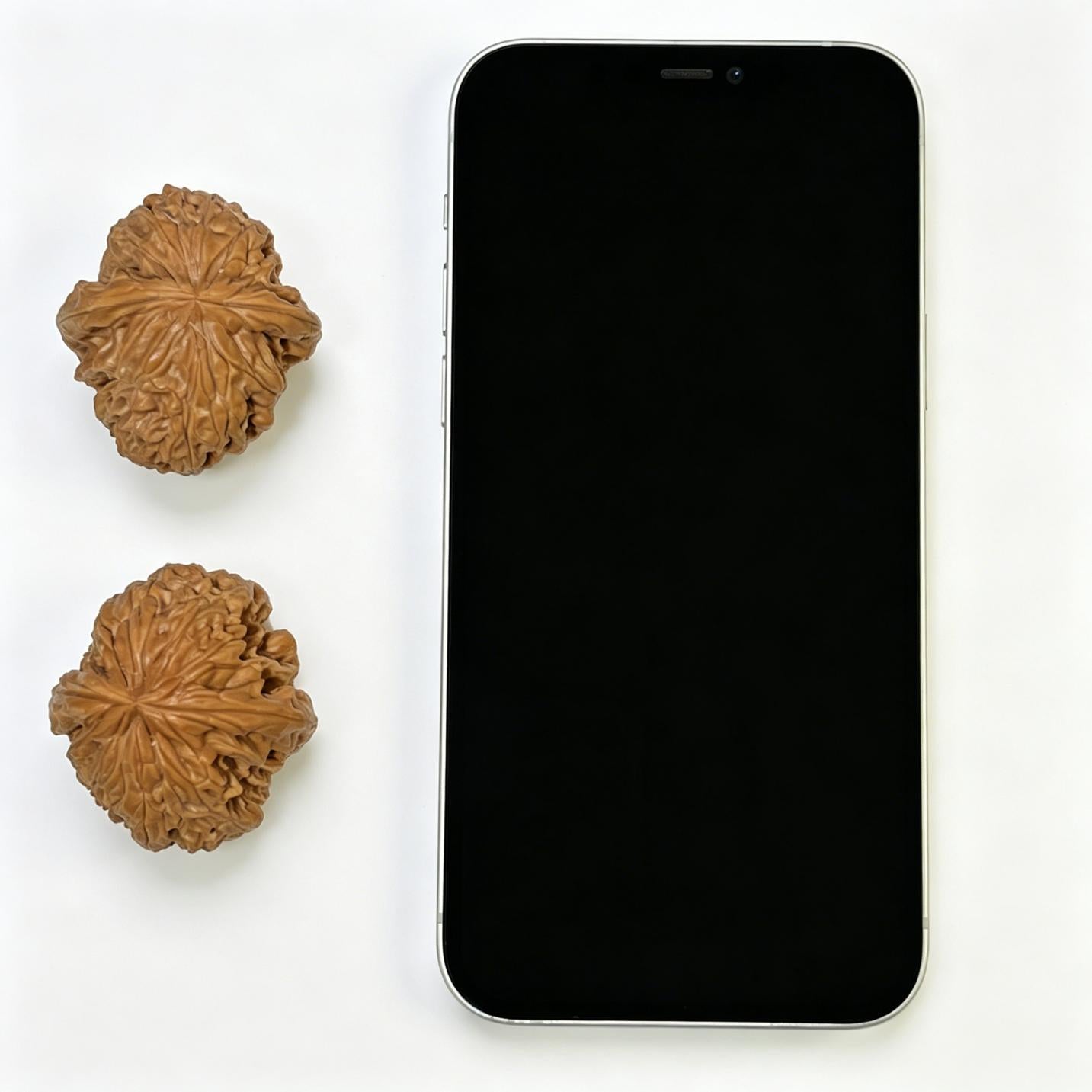 "Blizzard" Mantianxing Blizzard Variety Wenwan Walnuts Pair | 37.0mm x 41.0mm | BX-1109