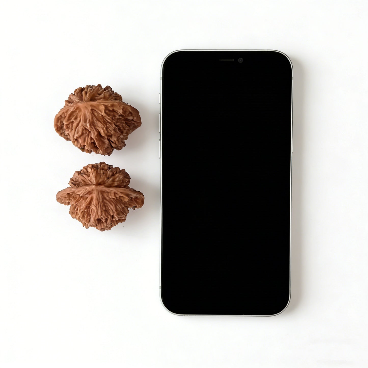 The "Coiled Dragon" (Pan Long Wen) Pair | 43.0mm x 34.0mm | PLW-02