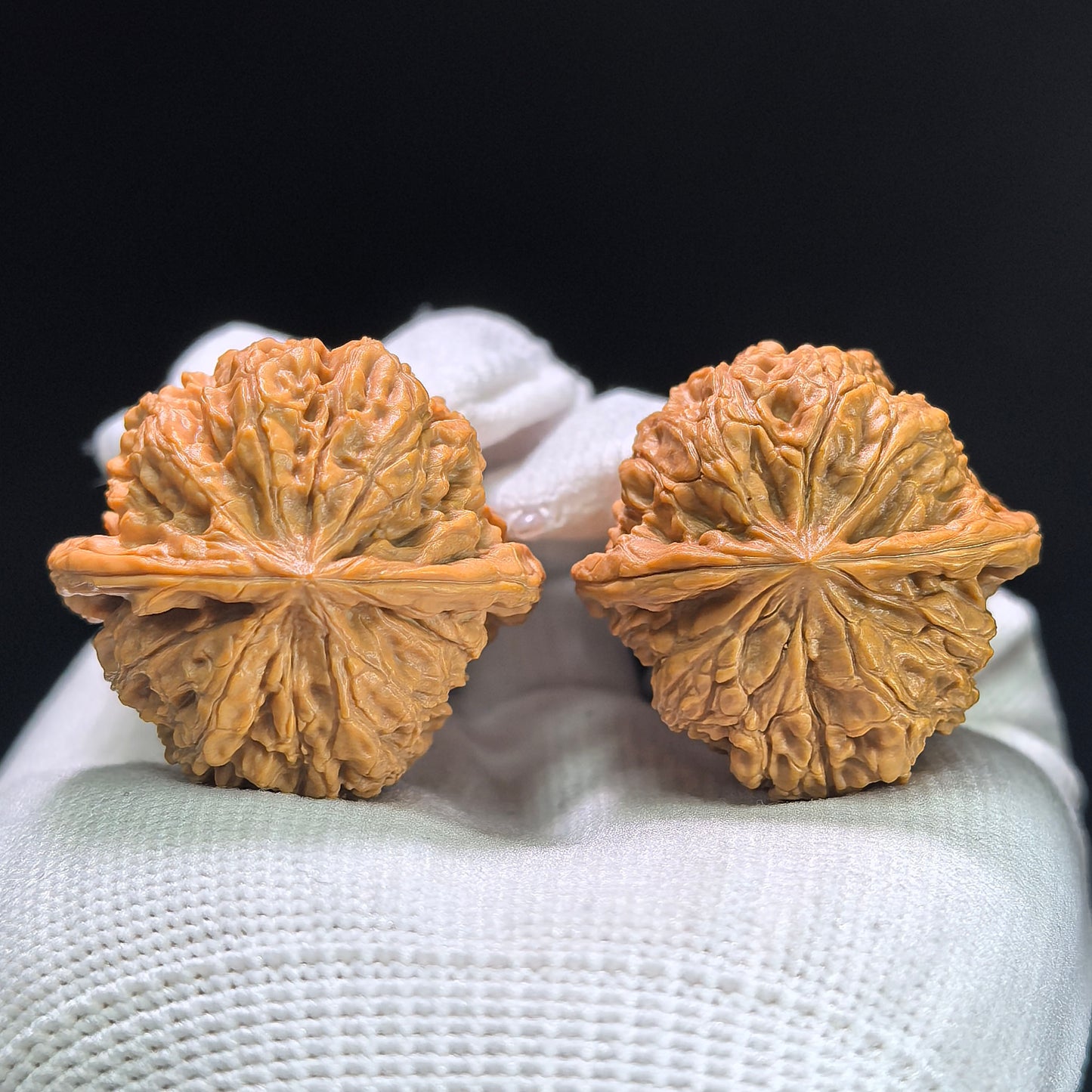 "Rain Flower Stone" Yuhuashi Wenwan Walnuts Pair | 35.0mm x 34.0mm | YHS-1401