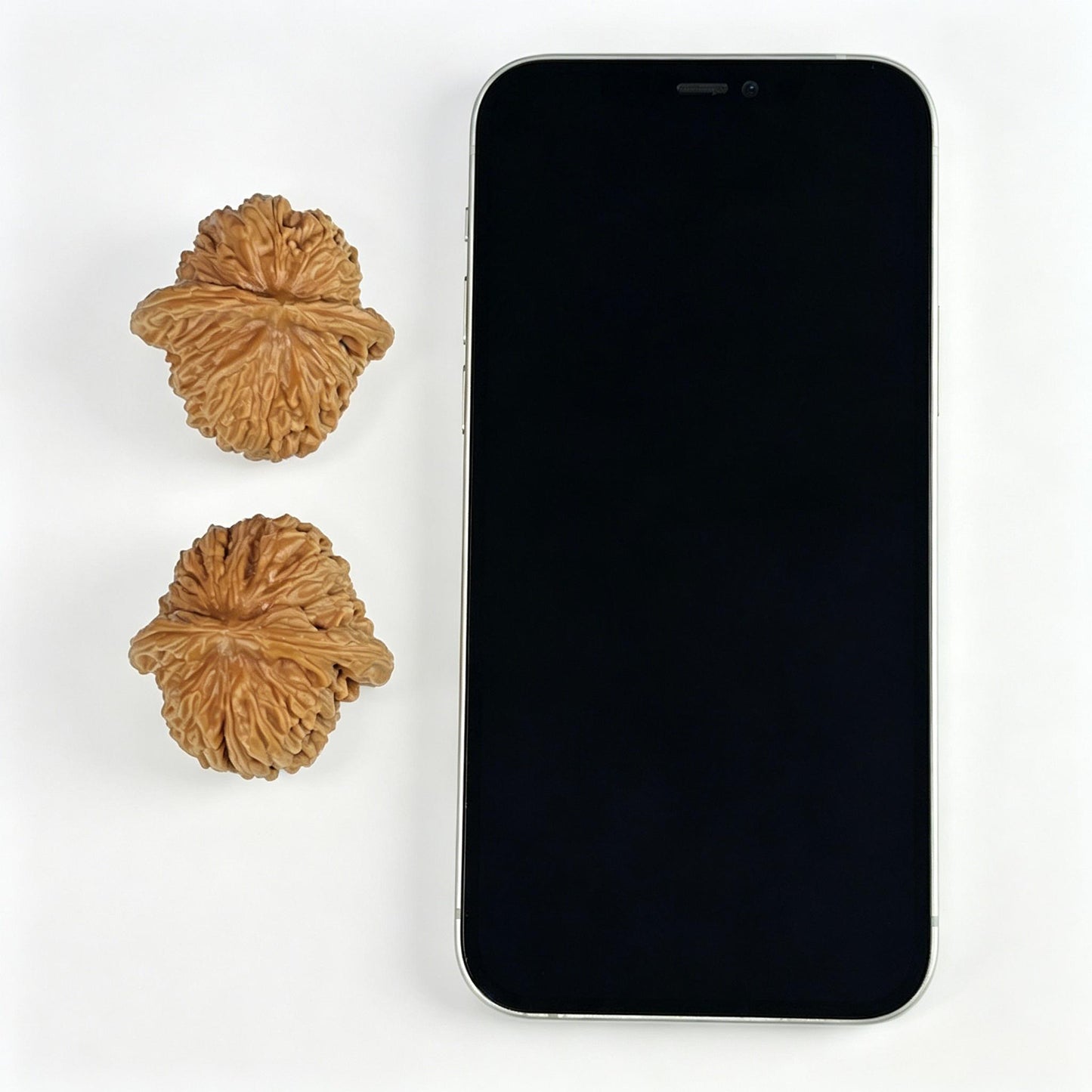 Sizuolou Lion Head (Si Zuo Lou) Scholar Walnuts Pair | 39.0mm x 39.0mm | Stock ID: SZL-1001