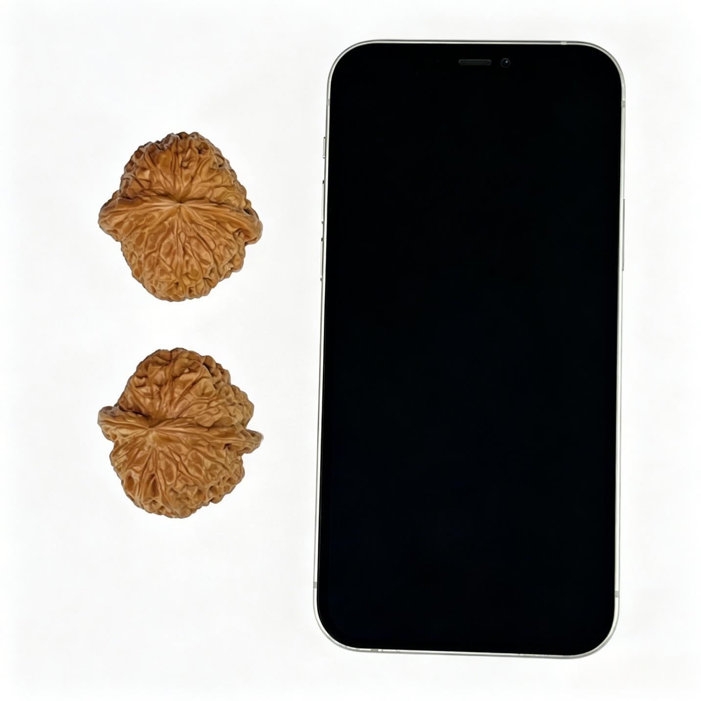 "Pumpkin Block" Nanguadun Wenwan Walnuts Pair | 39.0mm x 40.0mm | NGD-1005