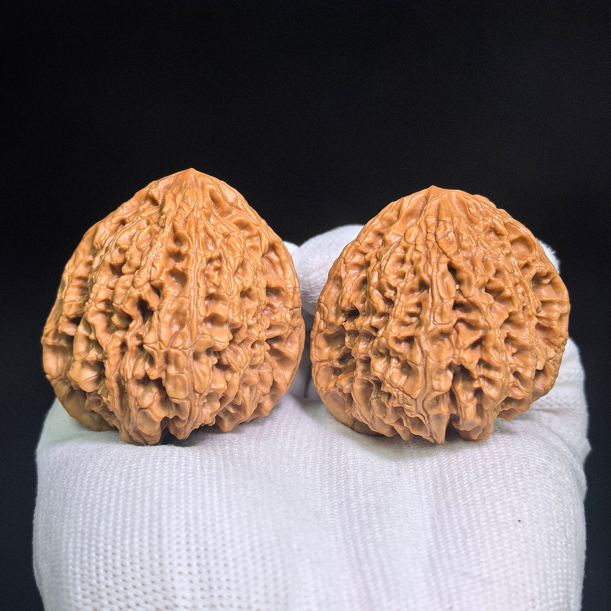 Wild-Form “Golden-Maned Lion King / Tian Can Jiao” Wenwan Walnut Pair — 46.0mm x 43.0mm | JMSW-C1E4E