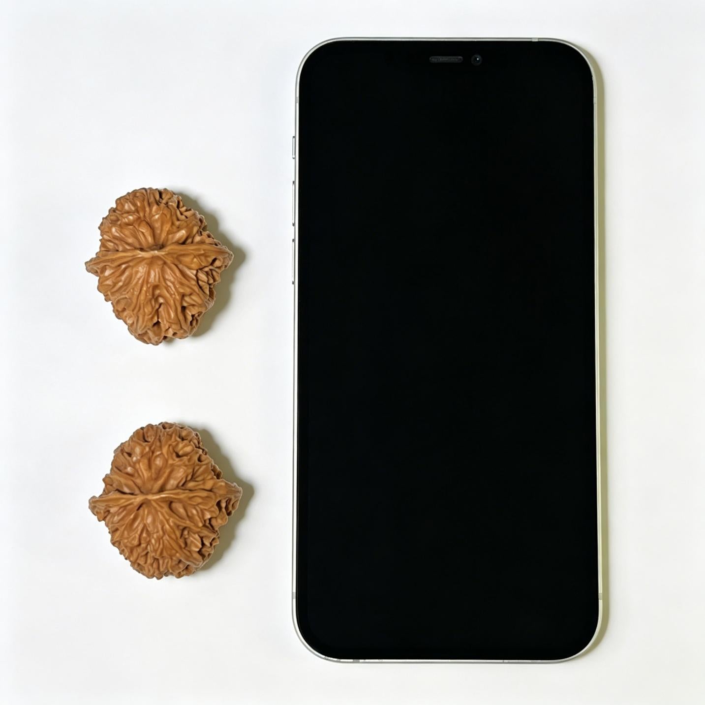 "Apple Garden" Pingguoyuan Hand-Twist Shou Nian Wenwan Walnuts (Pair) | 34.0mm x 36.0mm | Stock ID: PGY-1104