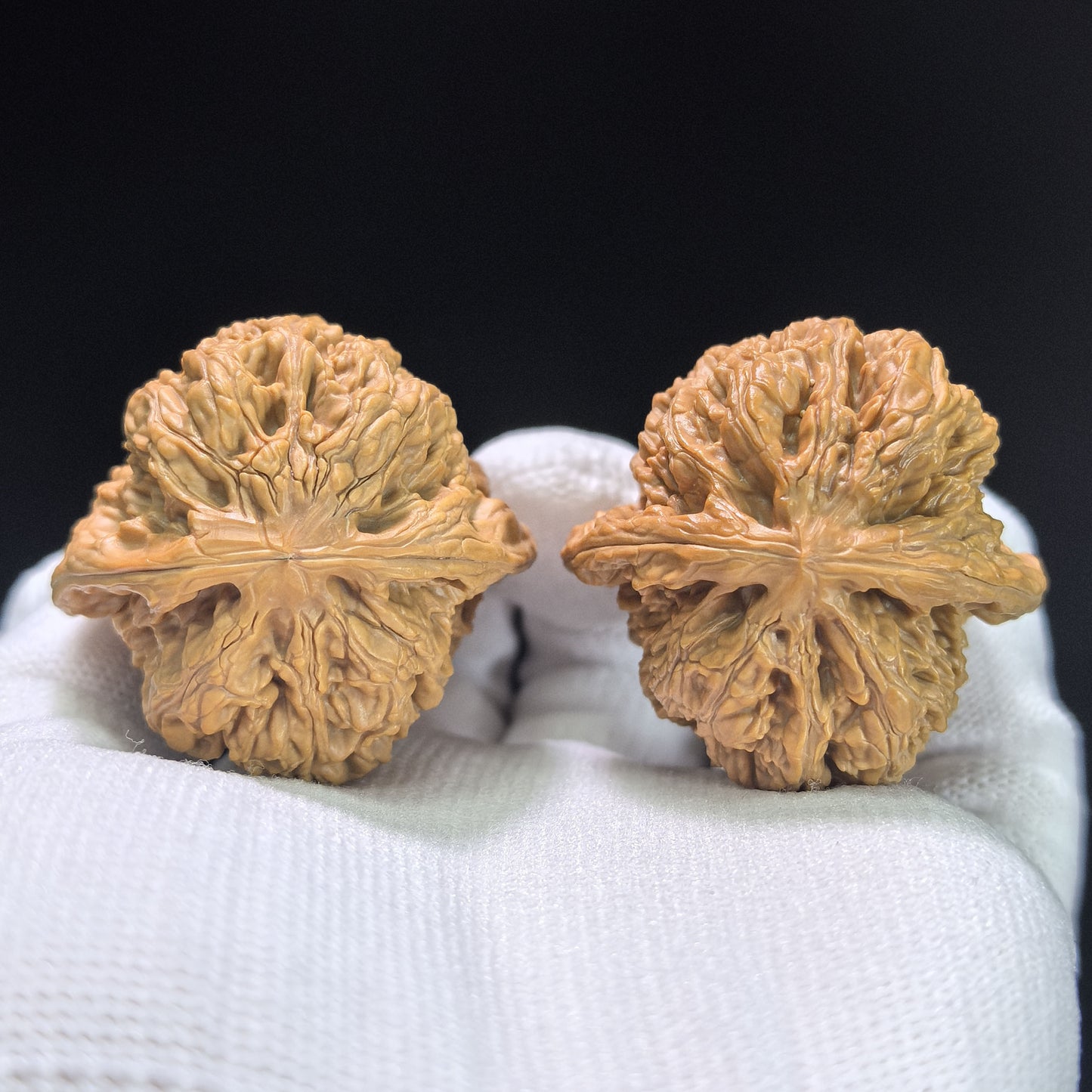 "North China General's Shoulder" Huabei Jiangjunbang Wenwan Walnuts Pair | 40.0mm x 38.0mm | HBJJB-1102