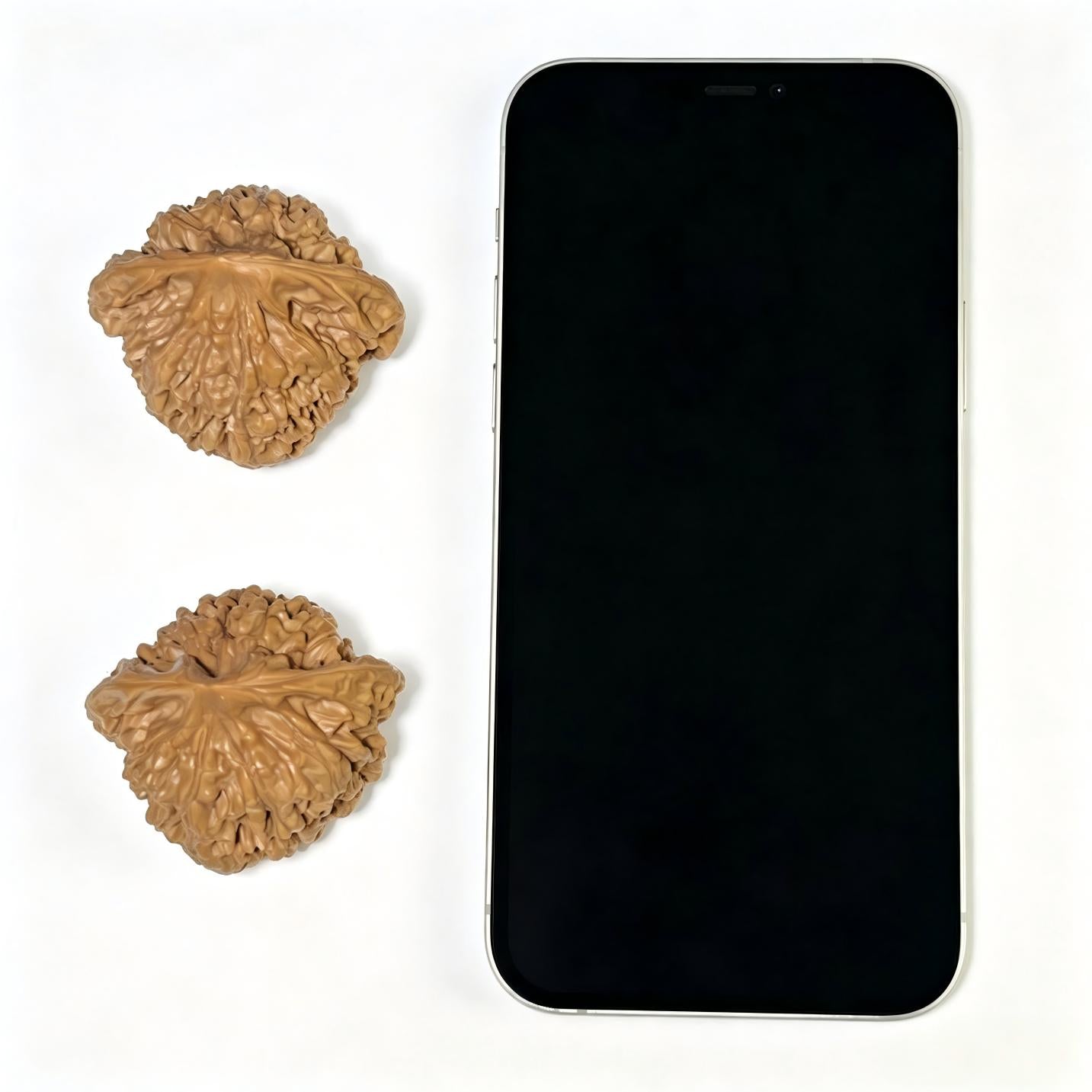 "Grand Official Hat" Da Guan Mao Wenwan Walnuts (Pair) | 46.0mm x 42.0mm | Stock ID: DGM-1103