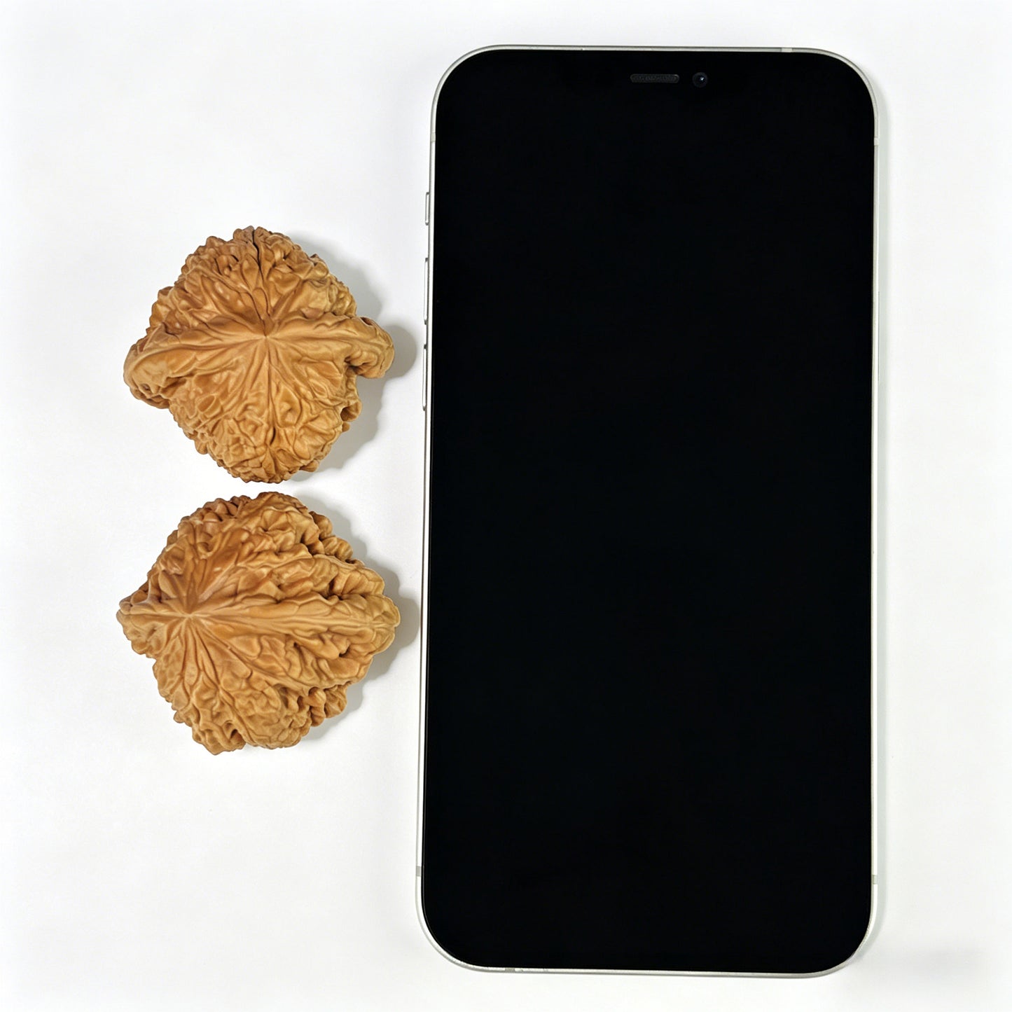 The "Blizzard" (Bao Xue) Ergonomic Giant Pair | 42.0mm x 40.0mm | BX-804