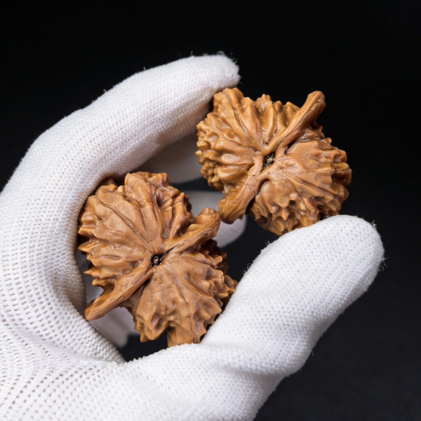 The "Horseshoe Half-Wall" (Ma Ti Ban Bi) Twin Pair | Boutique Grade | 36.0mm x 37.0mm | MTBB-401C