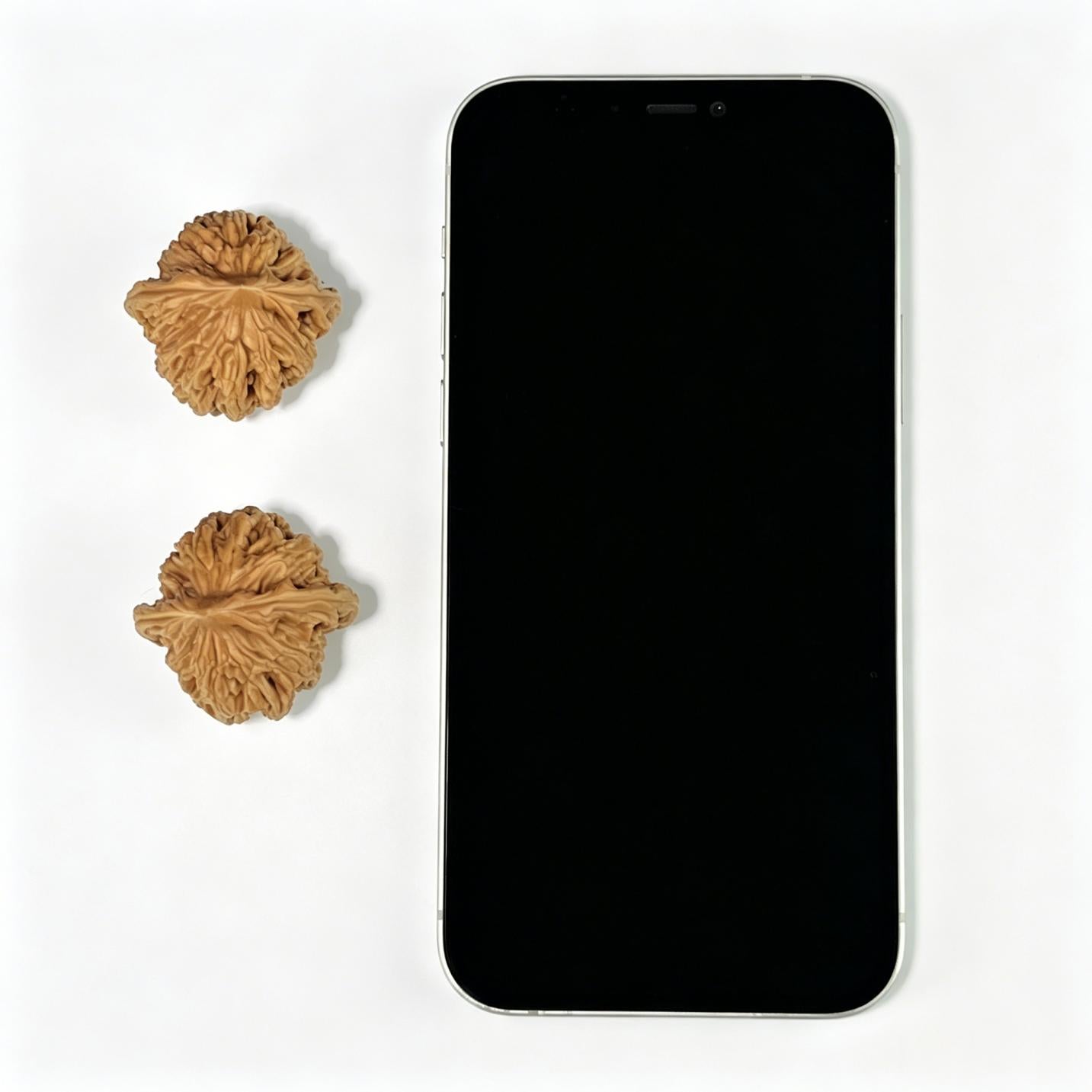 Mai Sui Hu Tou (Wheat Ear Tiger Head) Scholar Walnuts Pair | 33.0mm x 33.0mm | Stock ID: MSHT-1003