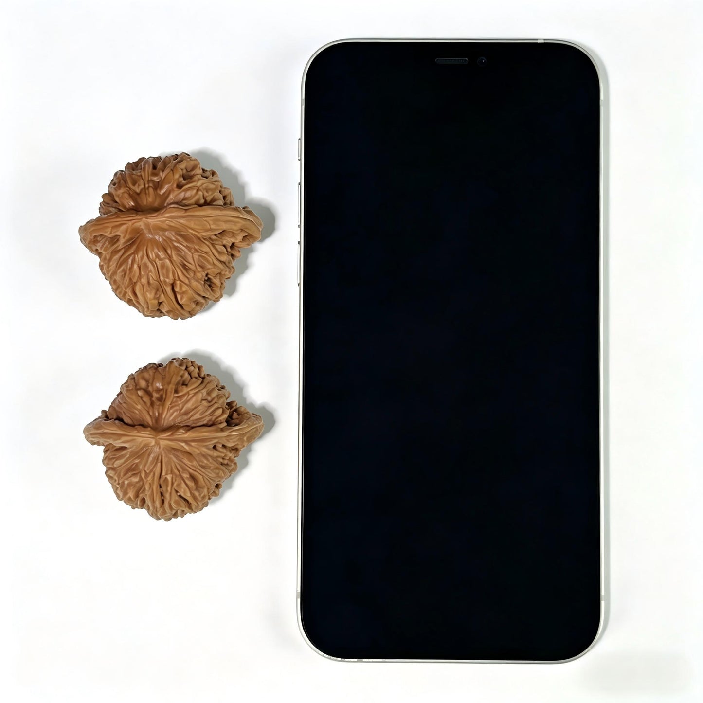 The "Four-Seated Tower" (Si Zuo Lou) Ergonomic Giant Pair | 41.0mm x 37.0mm | SZL-801