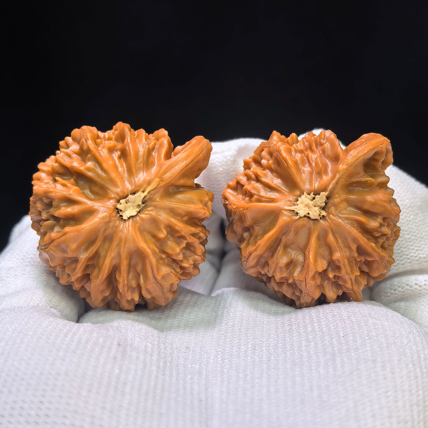 "Palace Lantern Butterfly Smooth-Sailing" (Gongdeng Hudie Yifan) Scholar Walnuts Pair | 39.0mm x 37.0mm | Singularities Grade Masterpiece | Stock ID: GDHDYF-CG205E