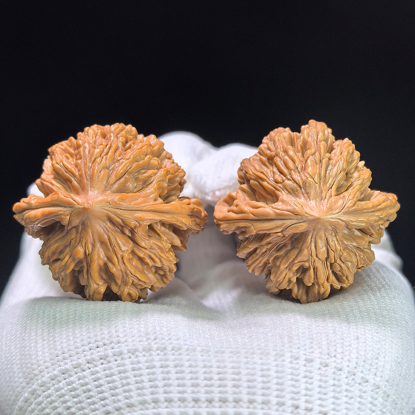 "Wheat Ear Tigerhead" Maisui Hutou MSHT-1403 Low-Profile Wenwan Walnuts Pair | 36.0mm x 35.0mm | MSHT-1403