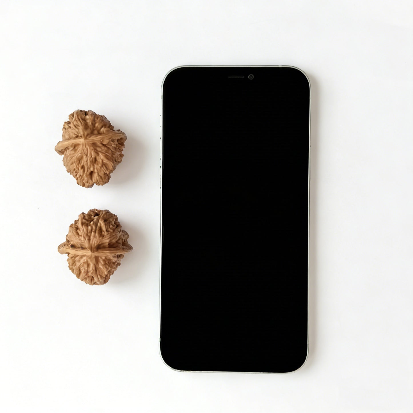 The "Gecko Luohan Head" (Bihu Luohan Tou) Pair | 35.0mm | BHLHT-01