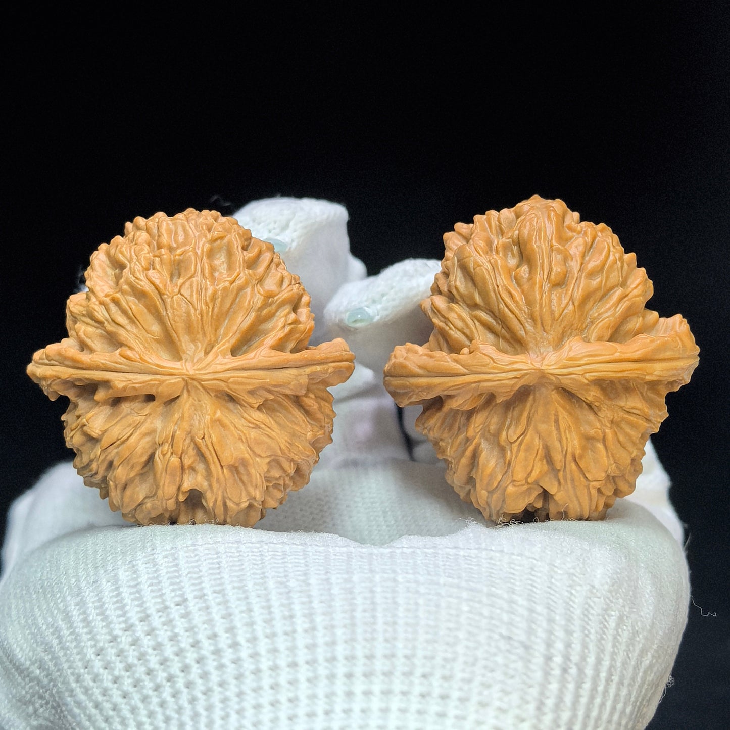 "Spherical White Lion" Qiu Xing Baishizi QXBSJ-1503C Low-Profile Wenwan Walnuts Pair | 41.0mm x 44.0mm | QXBSJ-1503C