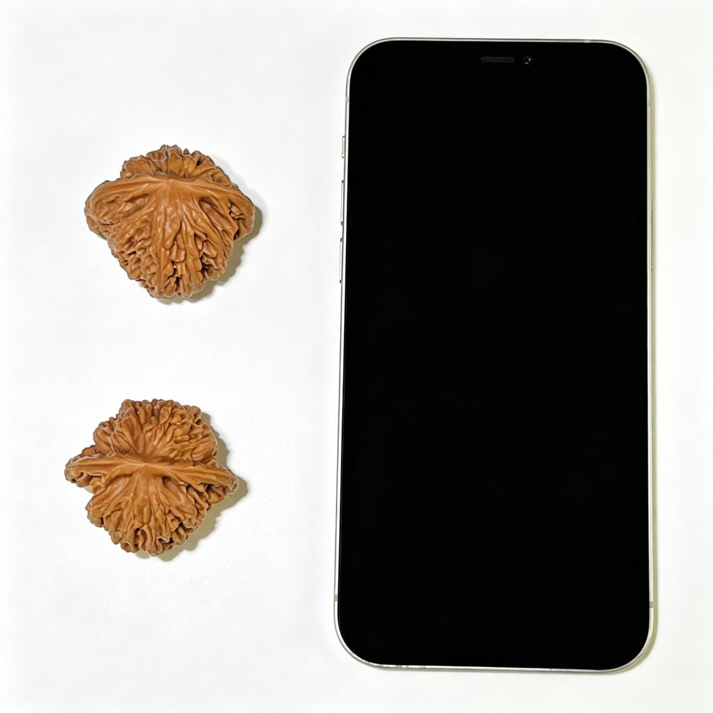"Wheat Ear Tiger Head" Maisui Hutou Wenwan Walnuts (Pair) | 38.0mm x 34.0mm | Stock ID: MSHT-1108