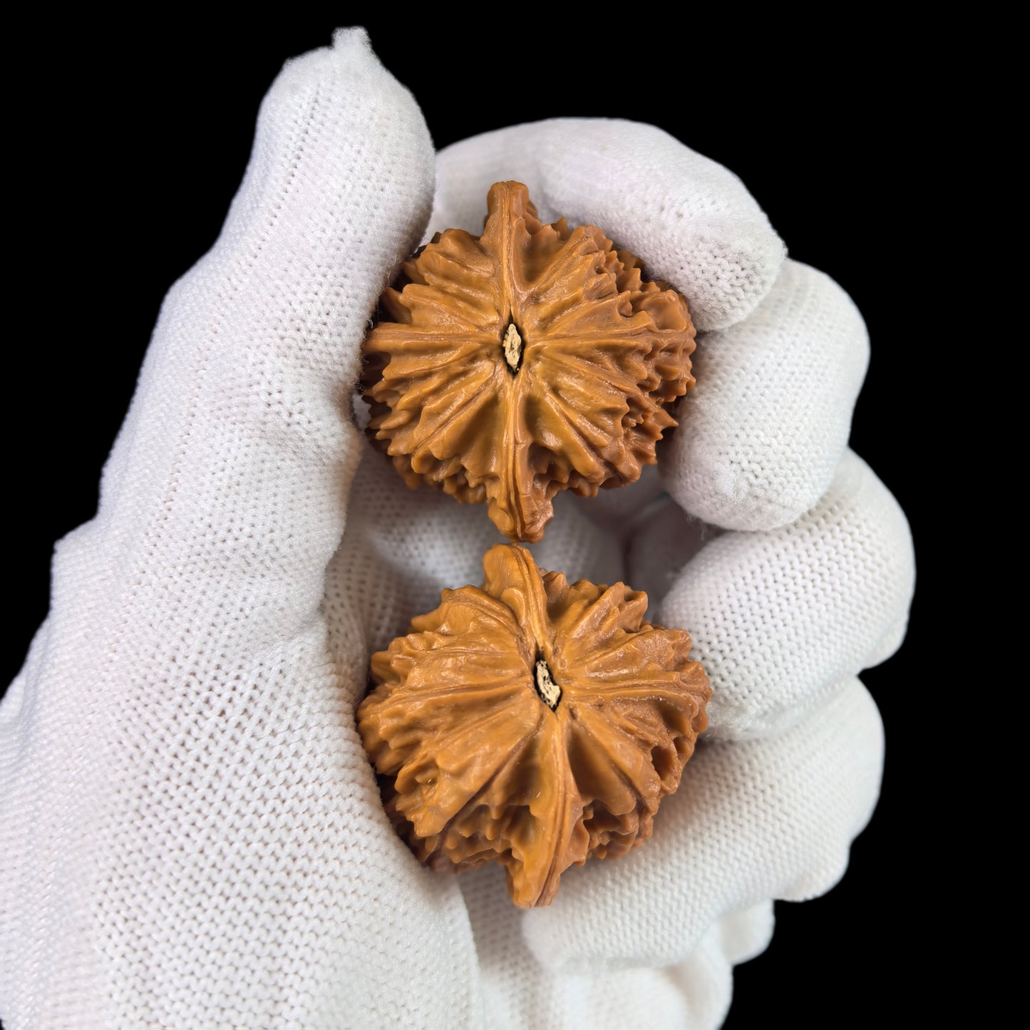 The "Beijing Chicken Heart" (Beijing Jixin) Pair | 37.0mm | BBJX-102