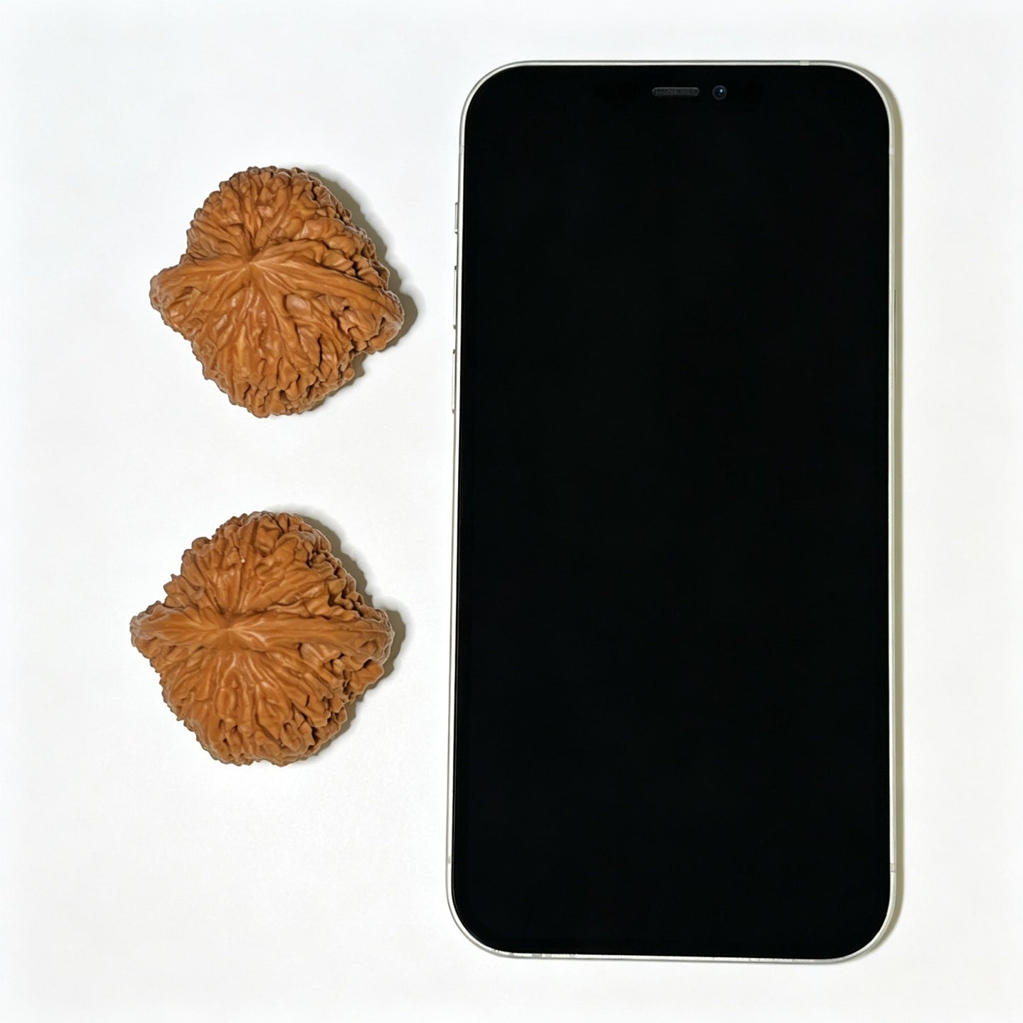 "Nanjiangstone" Nanjiangshi Wenwan Walnuts (Pair) | 41.0mm x 41.0mm | Stock ID: NJS-1105