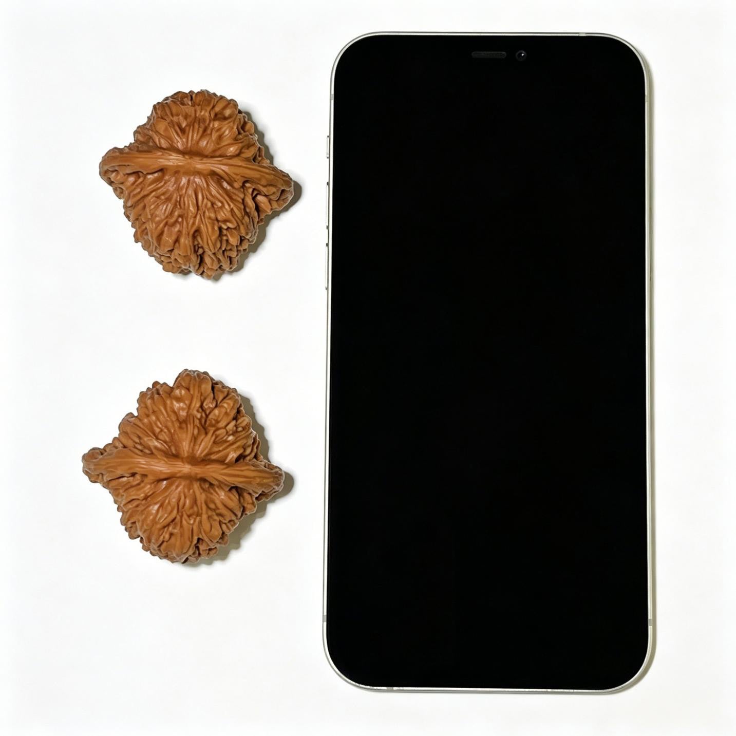Sizuolou Scholar Walnuts Pair | 42.0mm x 41.0mm | Stock ID: SZL-1102