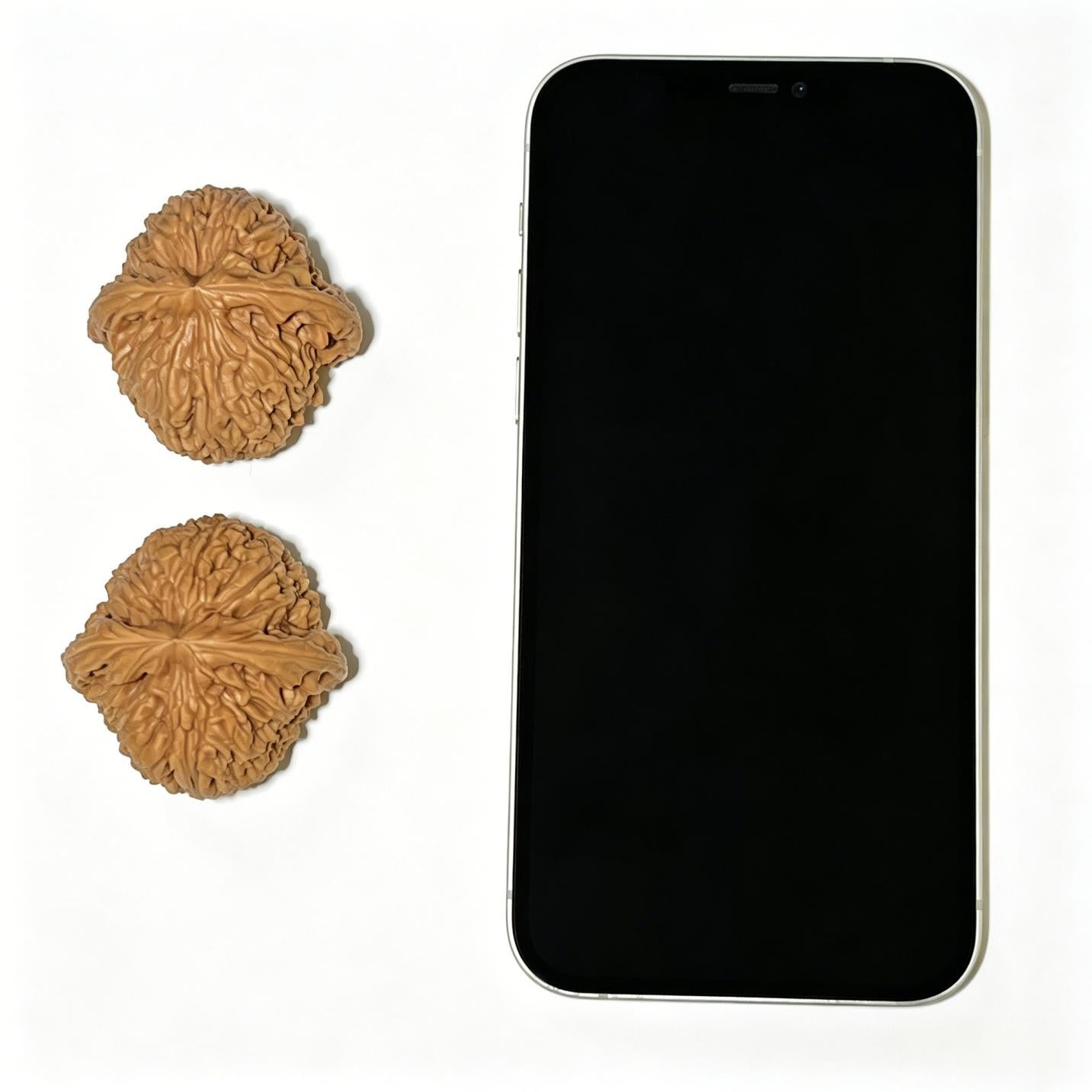 "Nanjiang Stone" Nanjiangshi Wenwan Walnuts Pair | 42.0mm x 43.0mm | NJS-1103