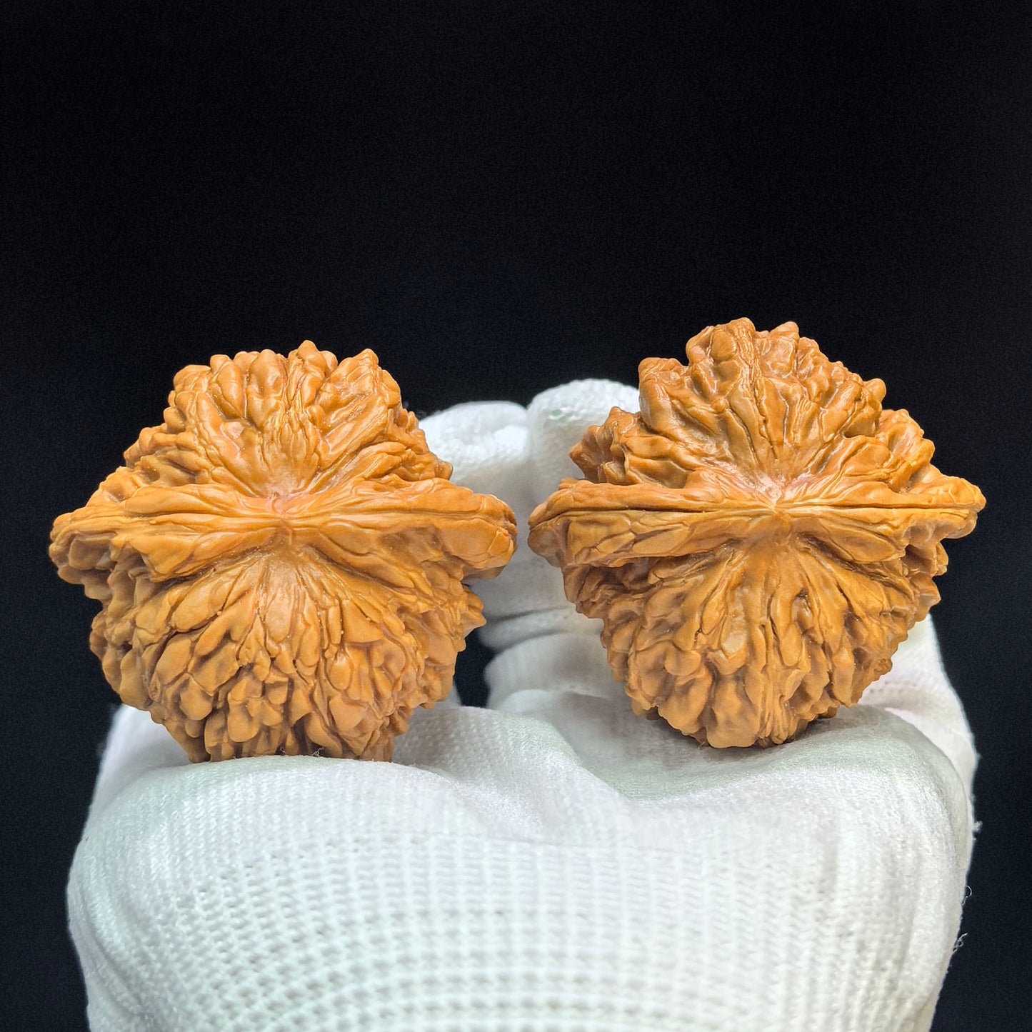 "Huakun Dragon" Hua Kun Long Wenwan Walnuts (Pair) | 48.0mm x 47.0mm | Stock ID: HKL-1505C