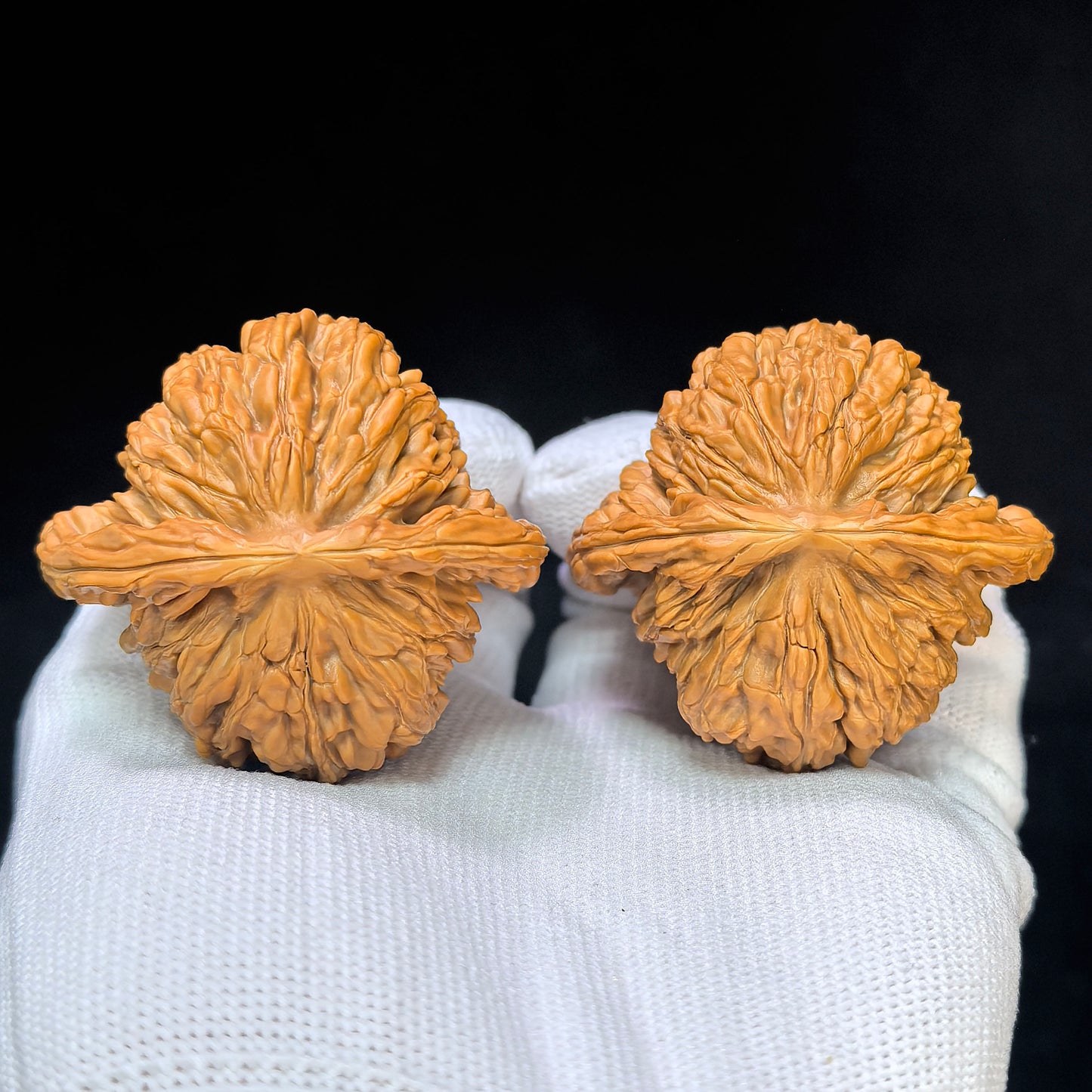 "Four-Tower Lionhead" Sizuelou Lionhead SZL-SY1C5 Low-Profile Wenwan Walnuts Pair | 47.0mm x 44.0mm | SZL-SY1C5