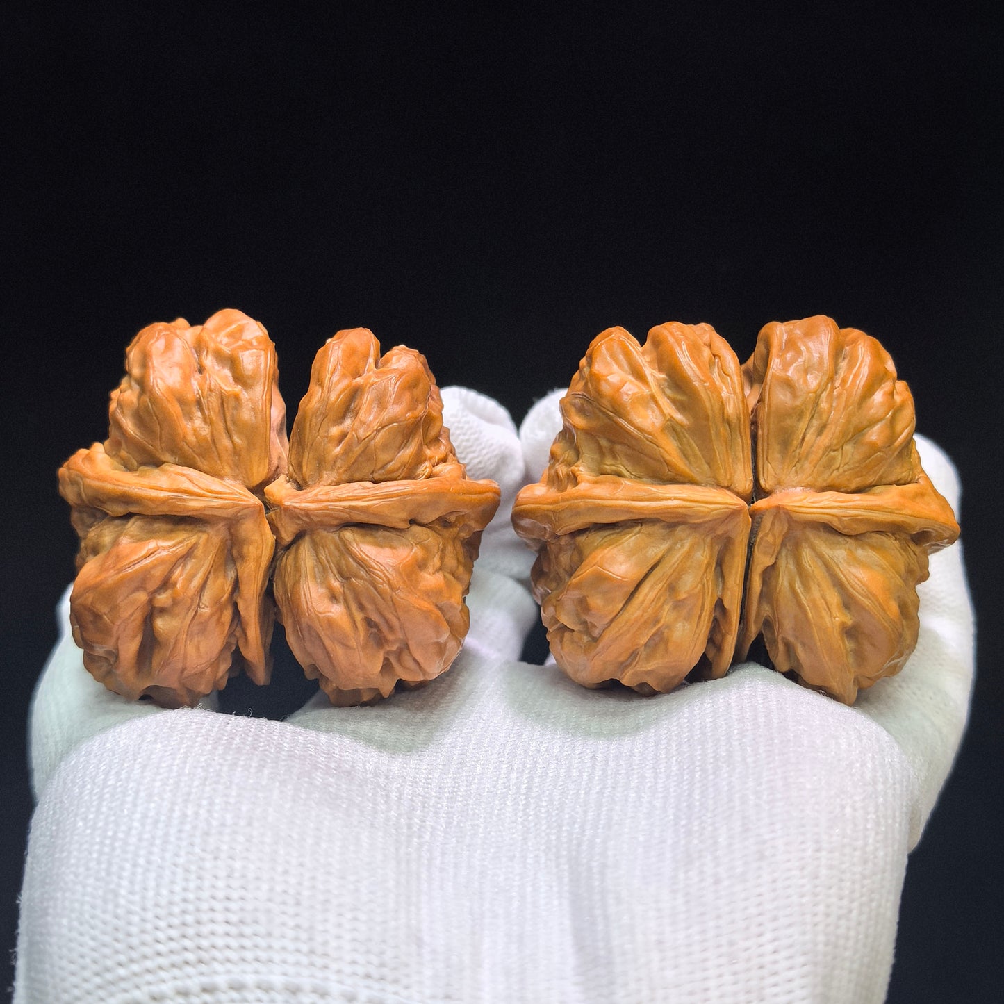 Museum-Grade "Toad Head Butterfly Conjoined Twin" (Ha Ma Tou Hu Die Lian Ti) Wild Scholar Walnut | Ultra-Rare 52.0mm x 45.0mm | High-End Collector Masterpiece | Stock ID: HDLLT-C01E