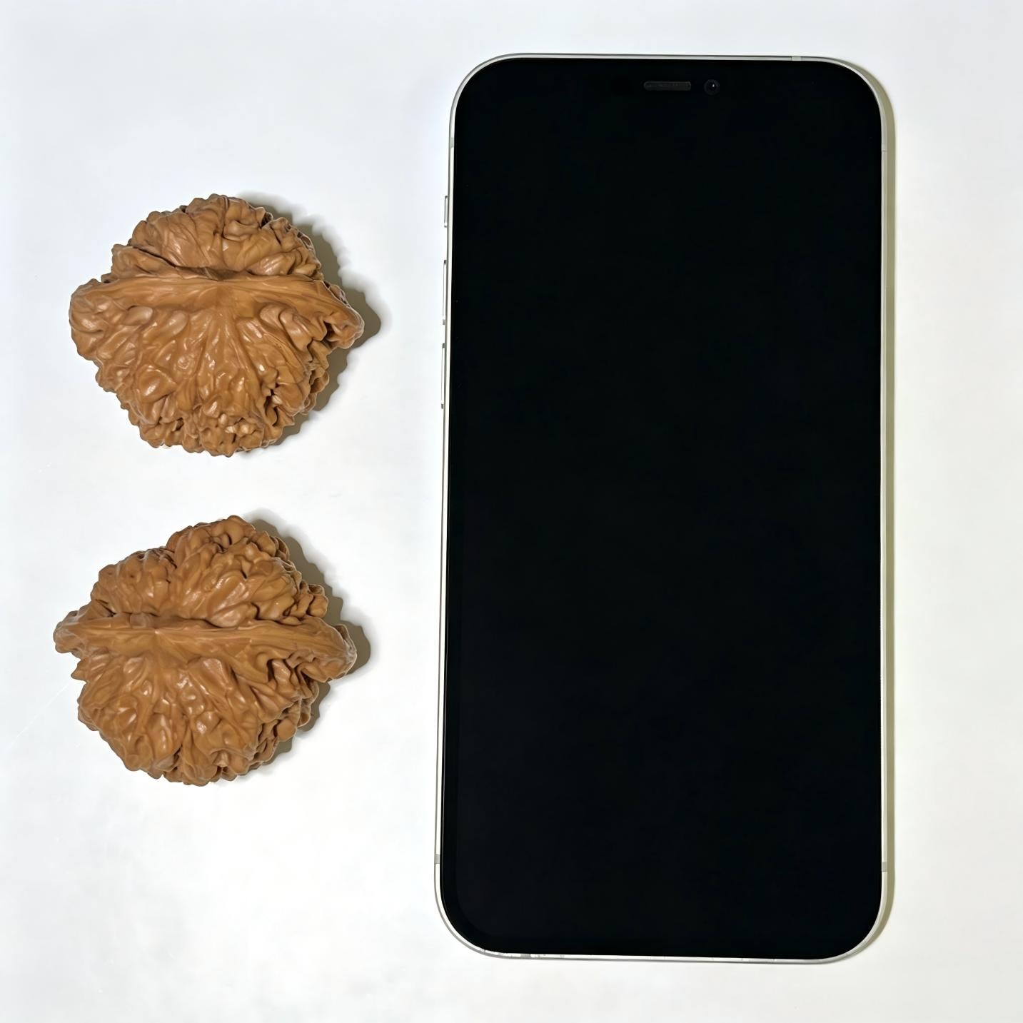 Guanmao Lion Head (Official Hat Lineage) Scholar Walnuts Pair | 46.0mm x 40.0mm | Stock ID: GM-1101