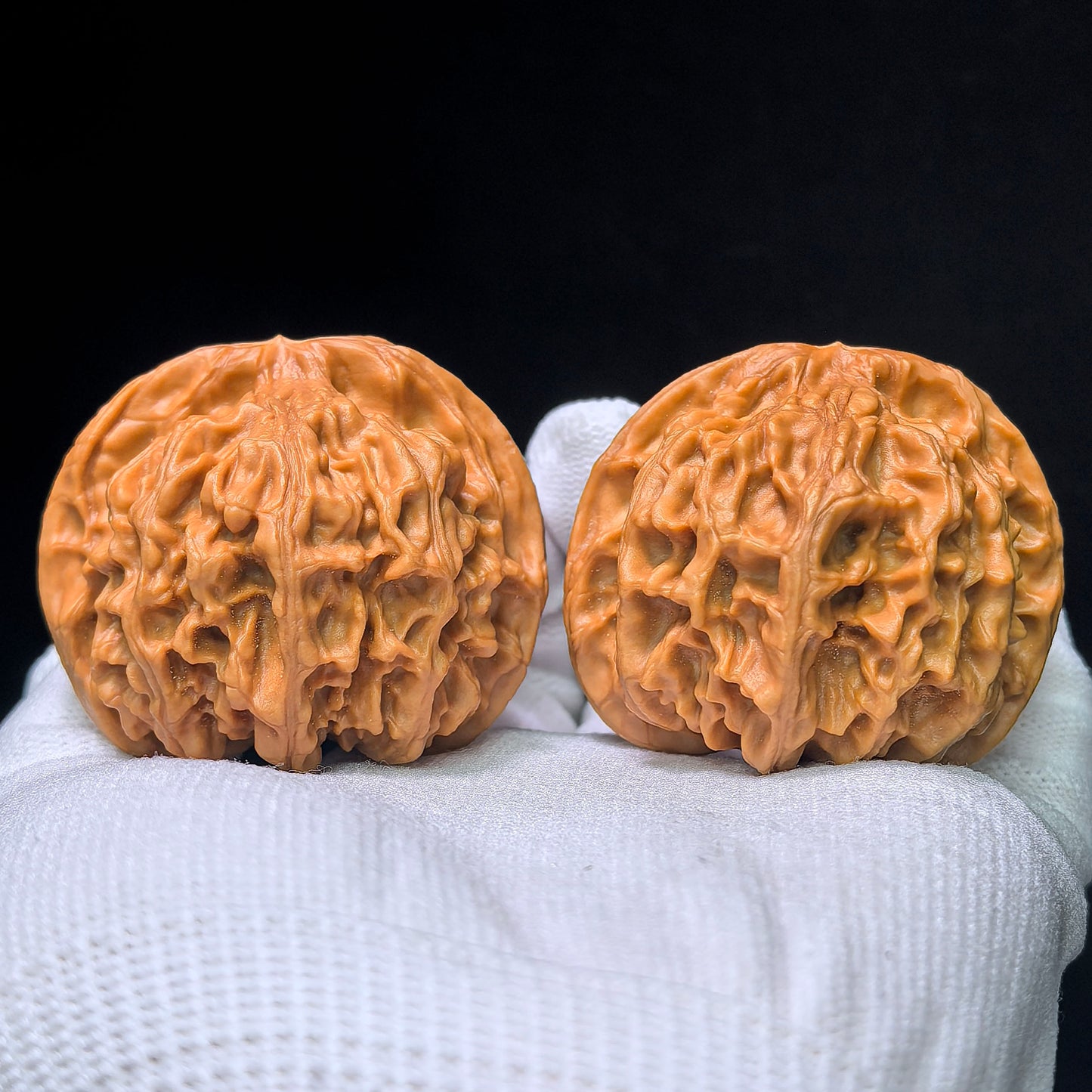 The "White Lion" (Bai Shizi) Collector-Grade Giant Deep-Belly Pair | 48.0mm x 45.0mm | Premium Pink-Tone Shell | BSJ-1351C