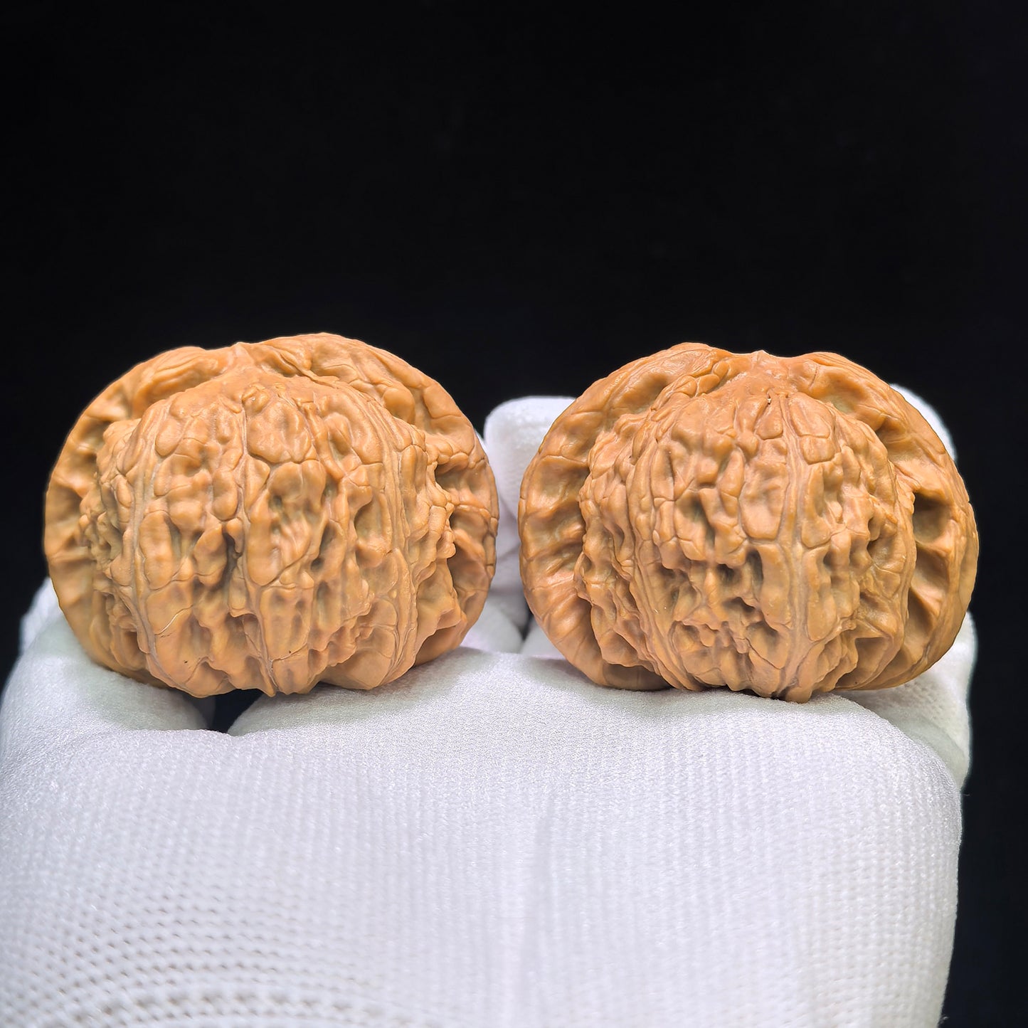 "White Lion" Baishizi Wenwan Walnuts (Pair) | 46.0mm x 43.0mm | Stock ID: BSJ-1553C