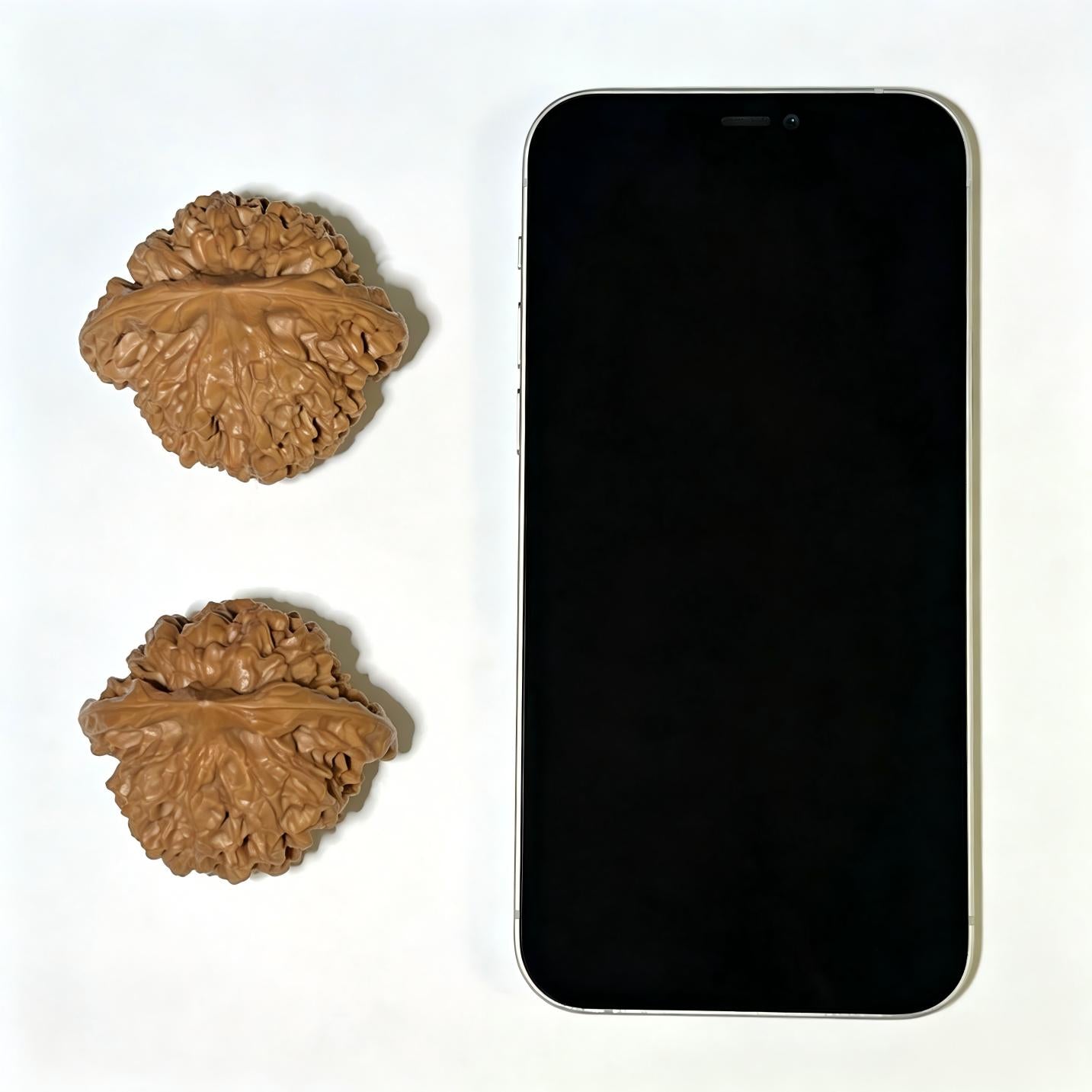 "Wang Yong Big Official Hat" Wang Yong Da Guanmao Wenwan Walnuts Pair | 50.0mm x 44.0mm | DGM-1107