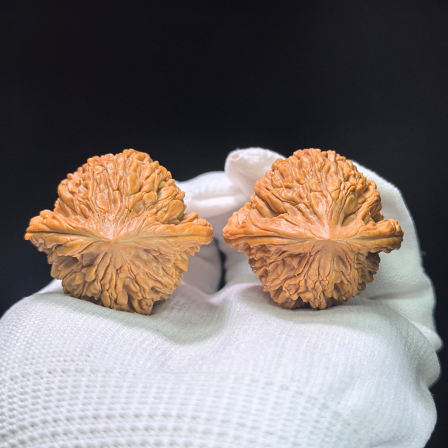 The Symmetrical "Wheat Ear" Tiger Head Pocket Masterpiece | 38.0mm x 36.0mm | MSHT-1407