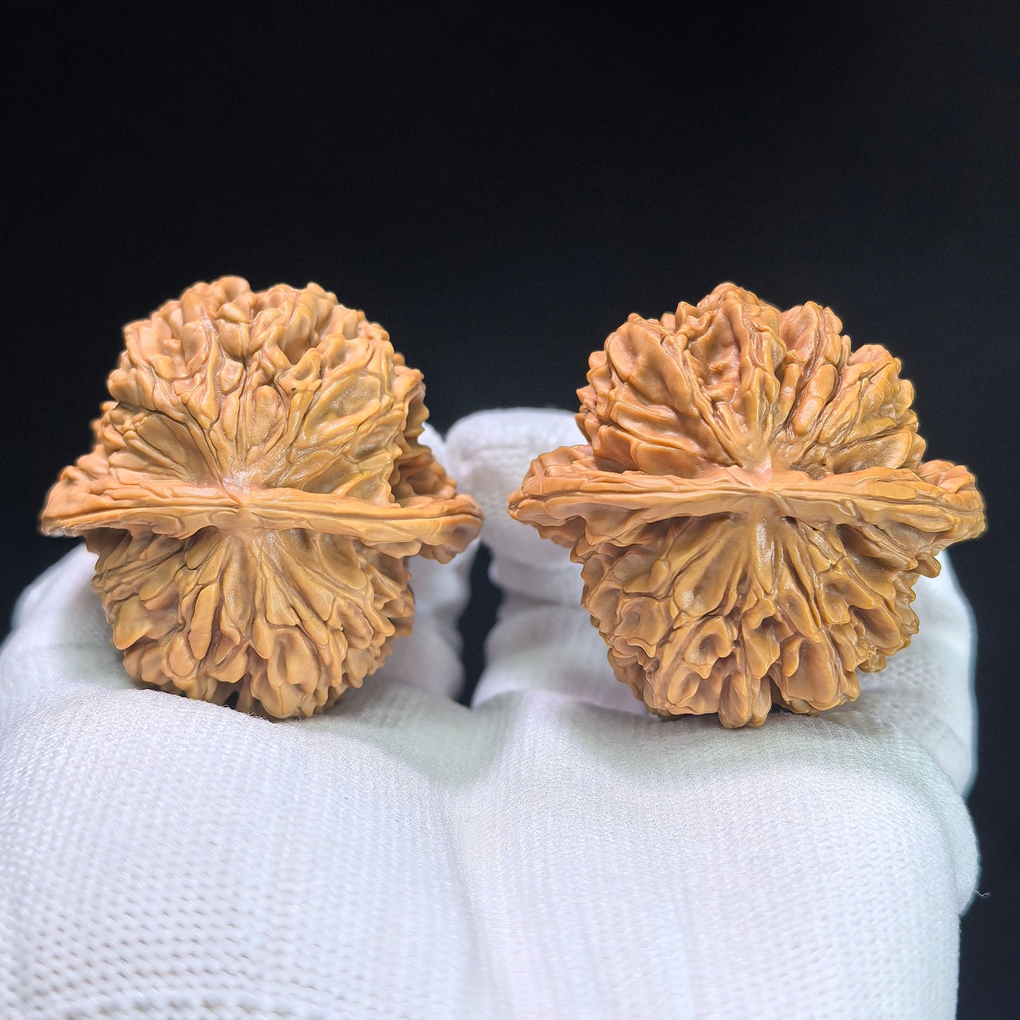 Bai Shou Lion Head (Hundred Longevity) Scholar Walnuts Pair | 45.0mm x 43.0mm | Stock ID: BSSZT-1401