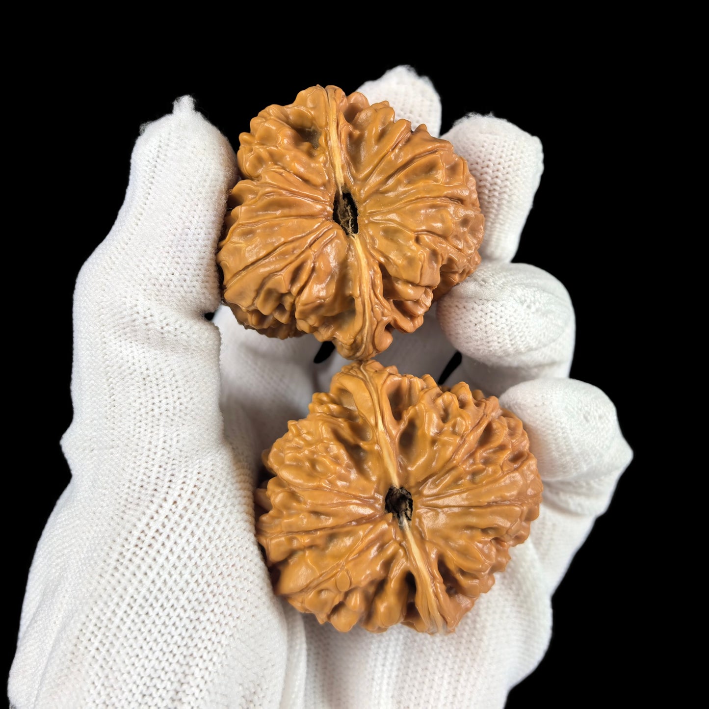 The "Stout Cushion" (Mendun) Pair | 45.0mm | MD-101