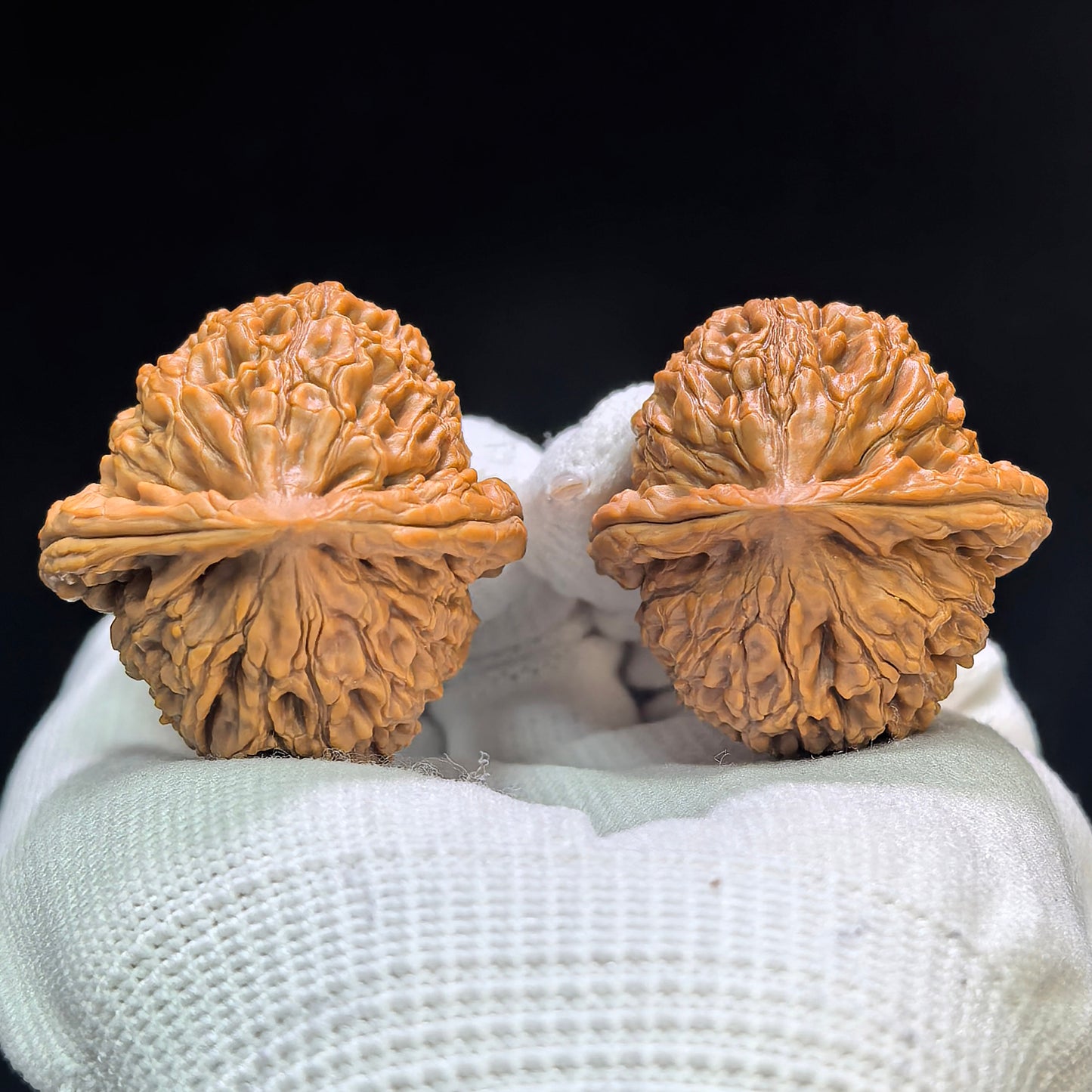 "Water Dragon Grain" Shuilongwen SLW-1601 Classic Wenwan Walnuts Pair | 37.0mm x 38.0mm | SLW-1601