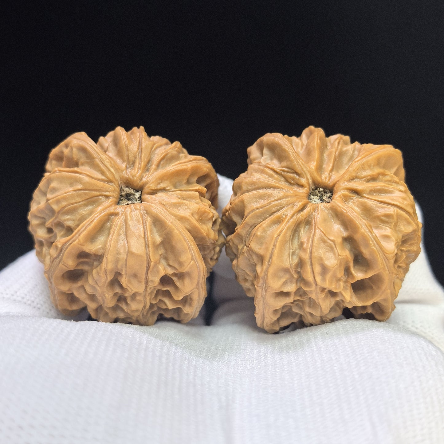 "Imperial Jade Seal X-Men" Yuxi Sileng X-Zhanjing Four-Ribbed Wenwan Walnuts Pair | 41.0mm x 40.0mm | YSFN-C227E